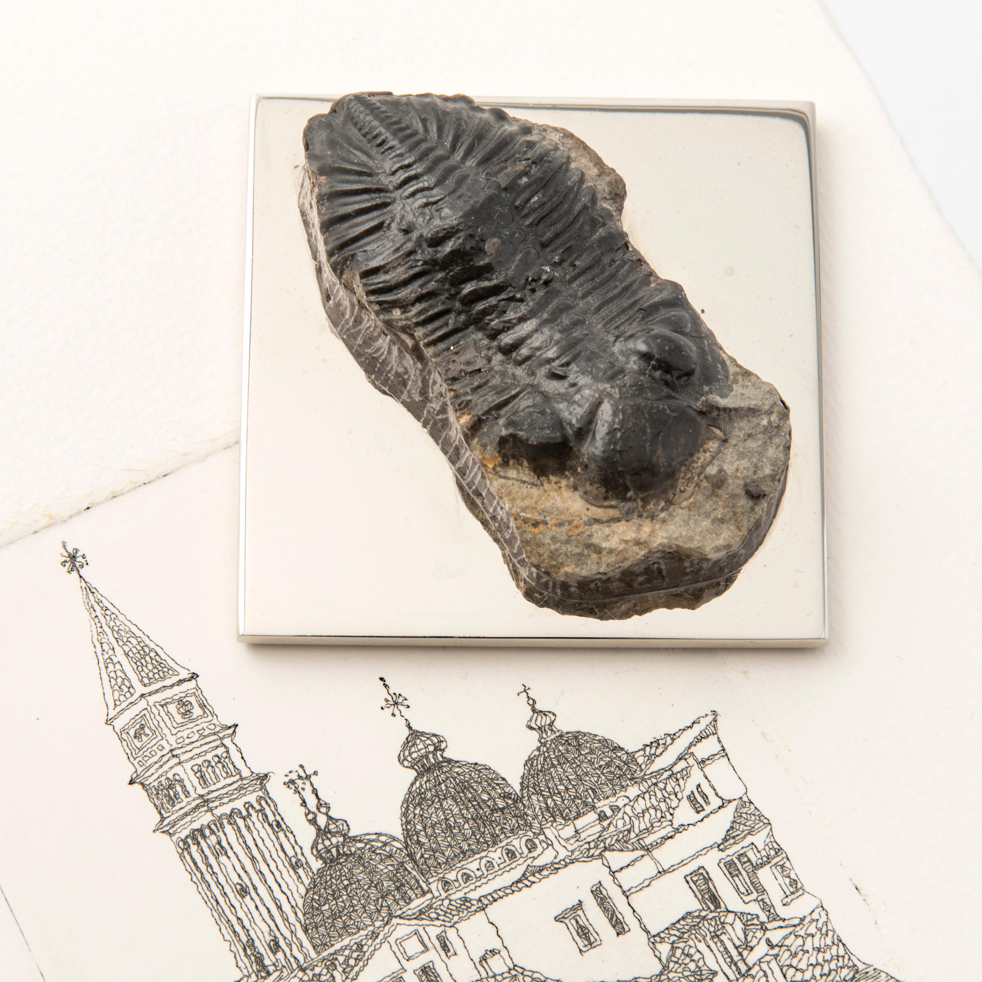 Galvanized FERMACHE WITH TRILOBITE real fossil of the Paleozoic Era to admire and use #2 For Sale