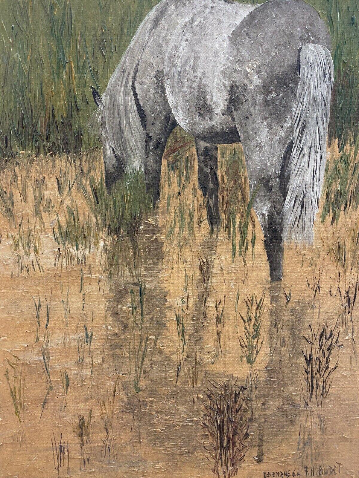 FERNAND AUDET (1923-2016) FRENCH IMPRESSIONIST OIL - HORSE GRAZING LONG GRASS - Painting by Fernand Audet