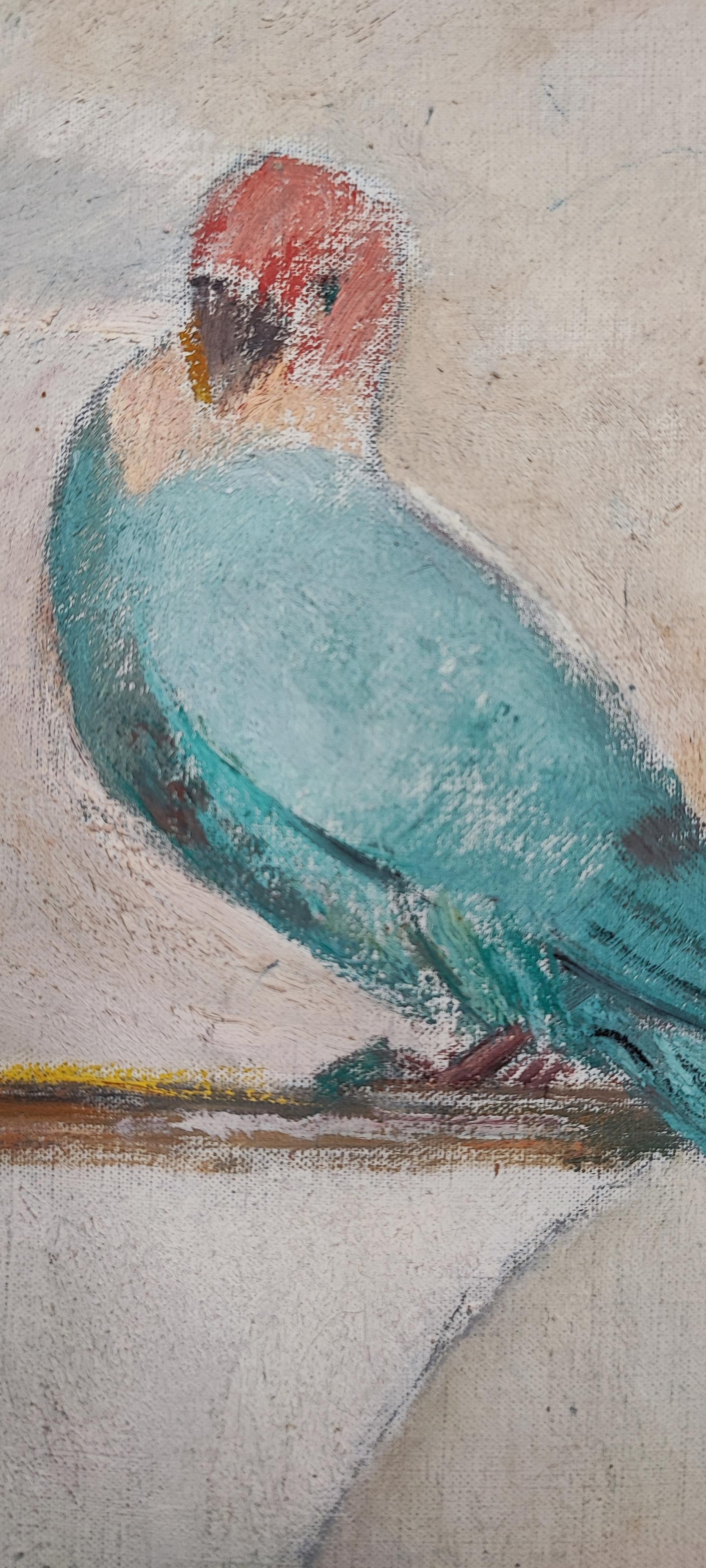 Parakeet in an interior with vase and shells 2