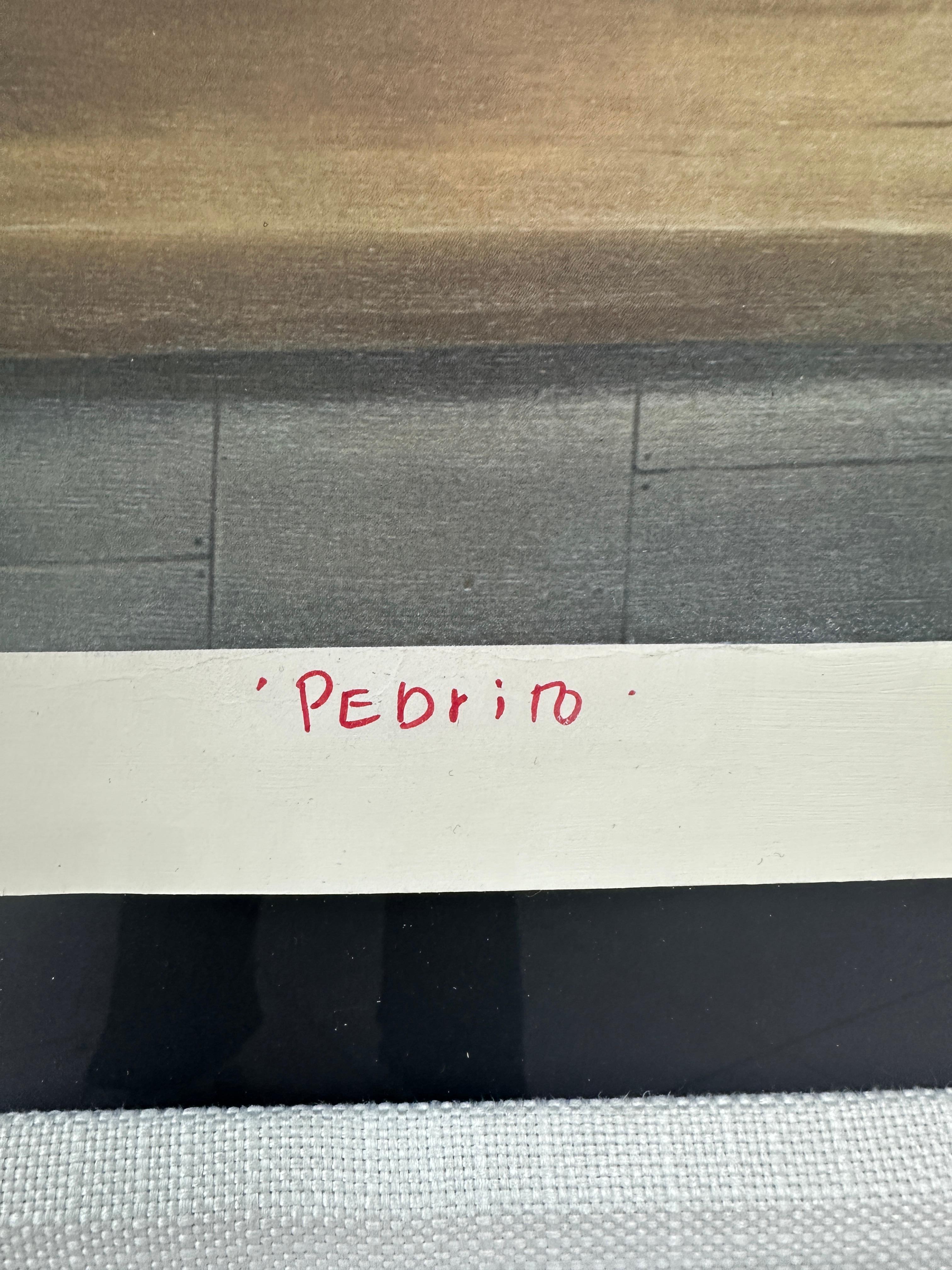 Fernando Botero Litografia: Pedrito in vendita 2