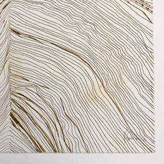 Mexican artist, serie 5050GM-2, 2004, unique Bon A Tirer engraving 19.5x19.5in