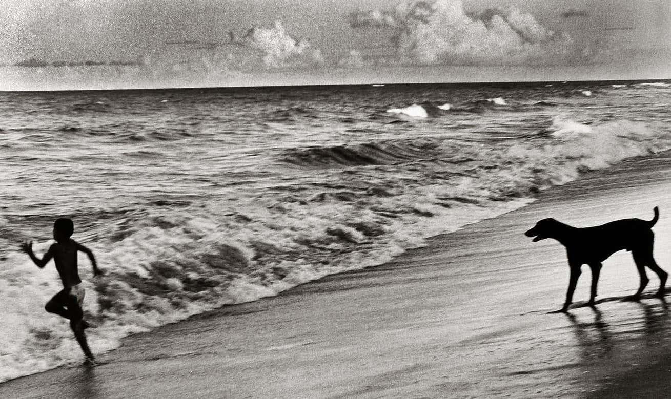 Bahia Brazil Fotografie (Boy and Dog, Sommer) (Zeitgenössisch), Photograph, von Fernando Natalici