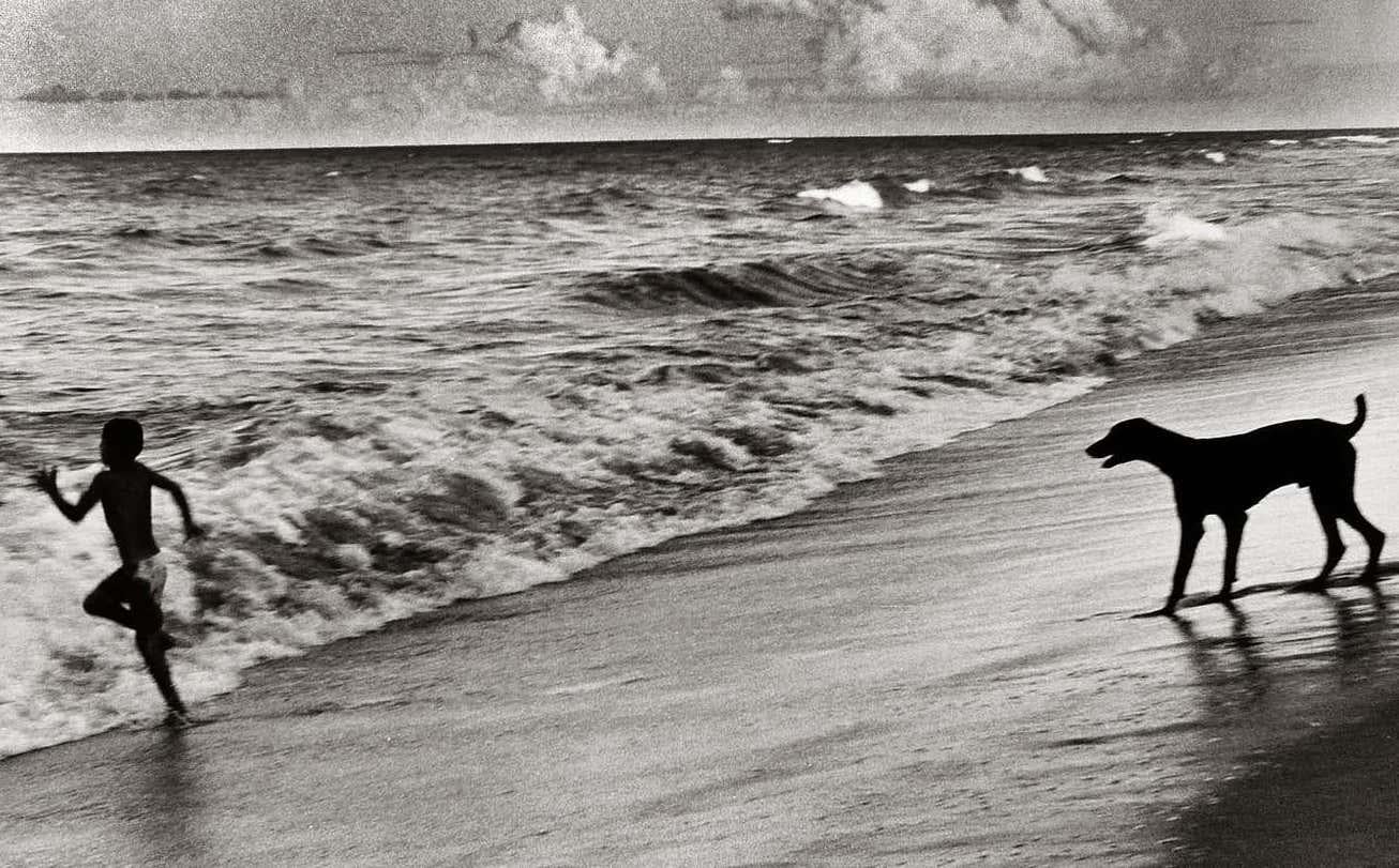 Bahia Brazil Fotografie (Boy and Dog, Sommer) (Grau), Black and White Photograph, von Fernando Natalici