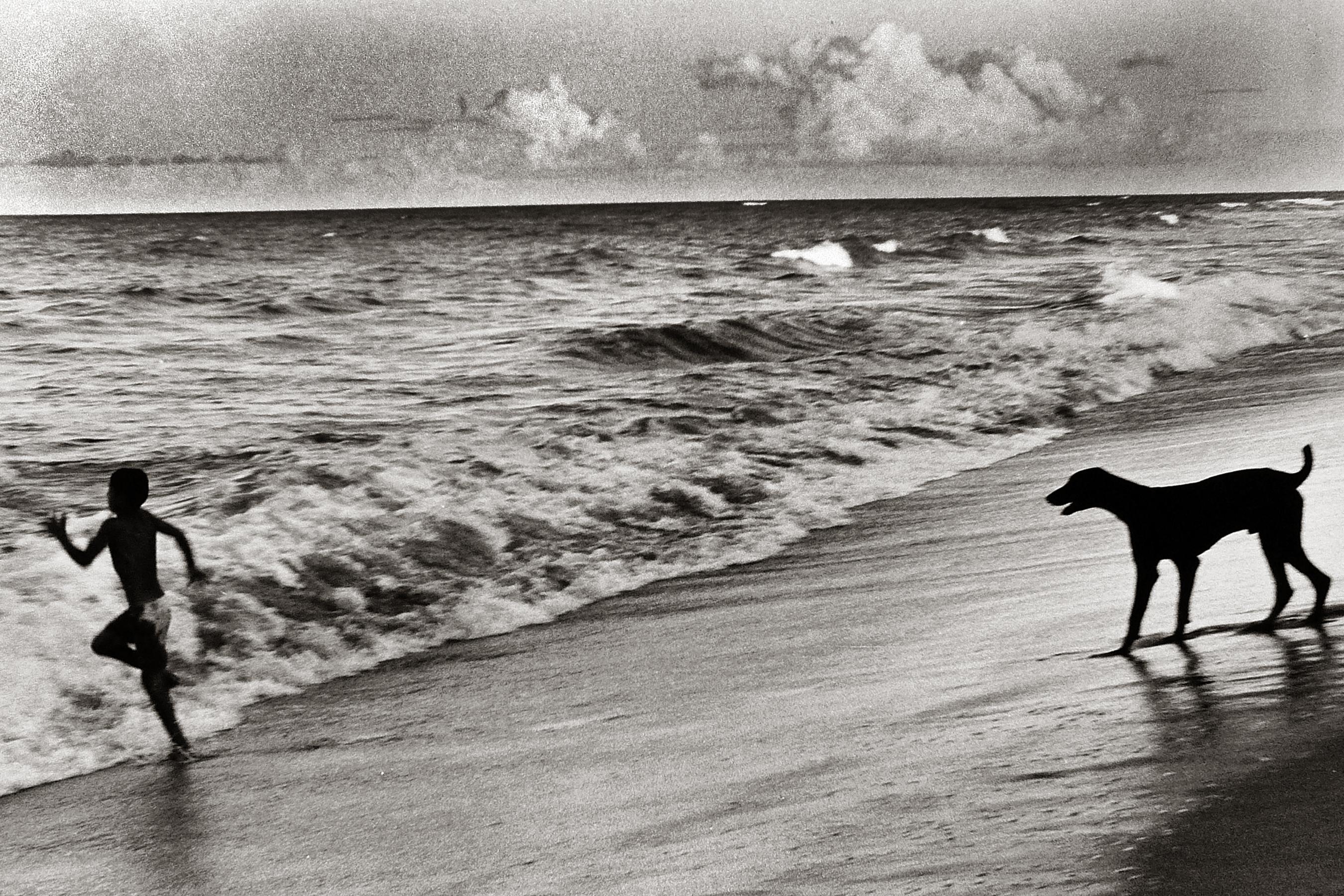 Fernando Natalici Landscape Photograph - Bahia Brazil Photograph (Boy and Dog, Summer)