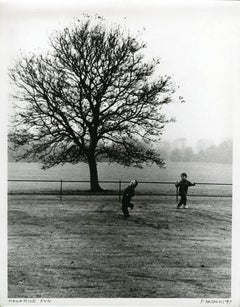 Vintage Malahide Castle & Gardens Dublin Ireland photograph 