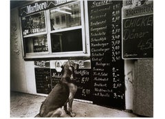 "Schnitzel Please!, " Dresden Germany 1999 (dog photograph)