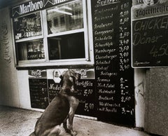 Retro "Schnitzel Please!, " Dresden Germany 1999 (dog photograph) 