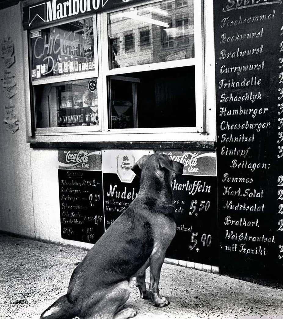 'Schnitzel per favore! Fotografia di Dresda Germania, 1999 - Print Pop Art di Fernando Natalici