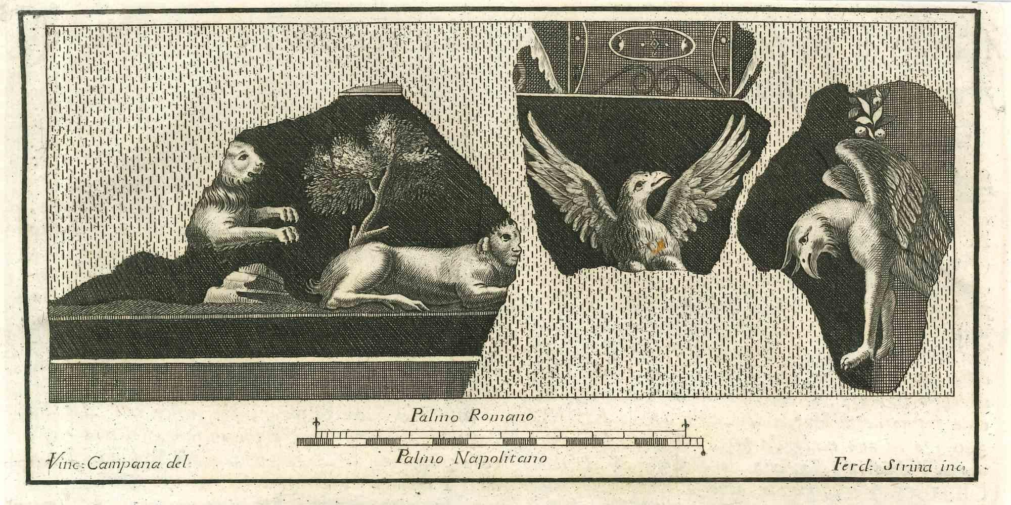 Animals Wall Fresco from "Antiquities of Herculaneum" is an etching on paper realized by Fernando Strina in the 18th Century.

Signed on the plate.

Good conditions.

The etching belongs to the print suite “Antiquities of Herculaneum Exposed”