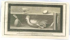 Antique Still Life With Poultry - Etching by Fernando Strina - 18th Century