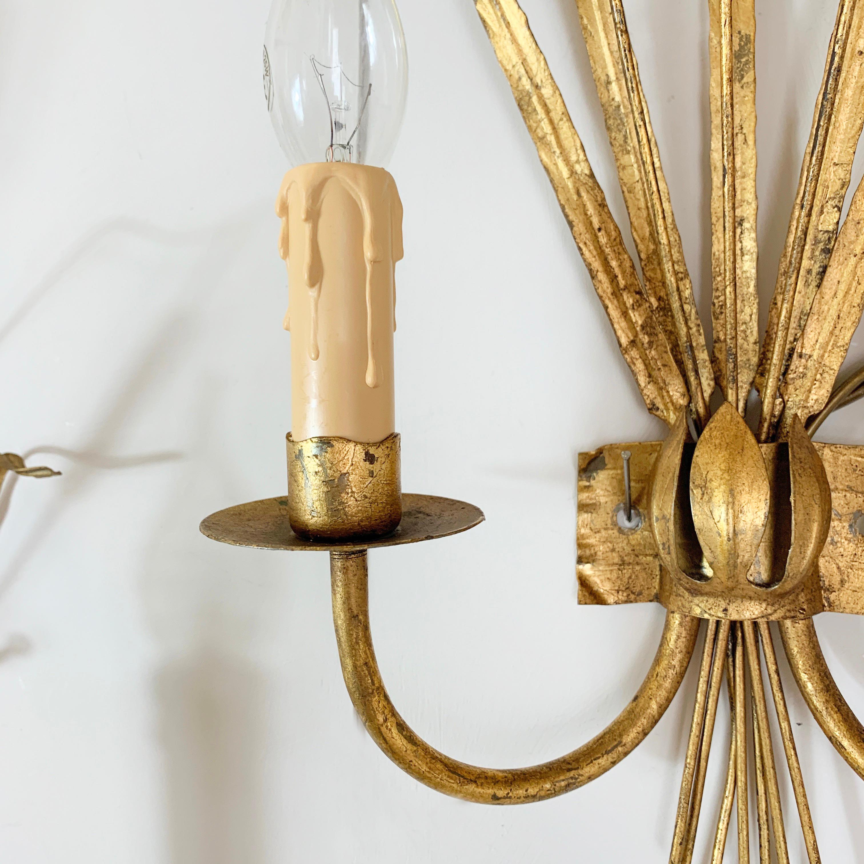 Ferro Art Gold Bulrush Wall Lights, 1970’s In Good Condition For Sale In Hastings, GB