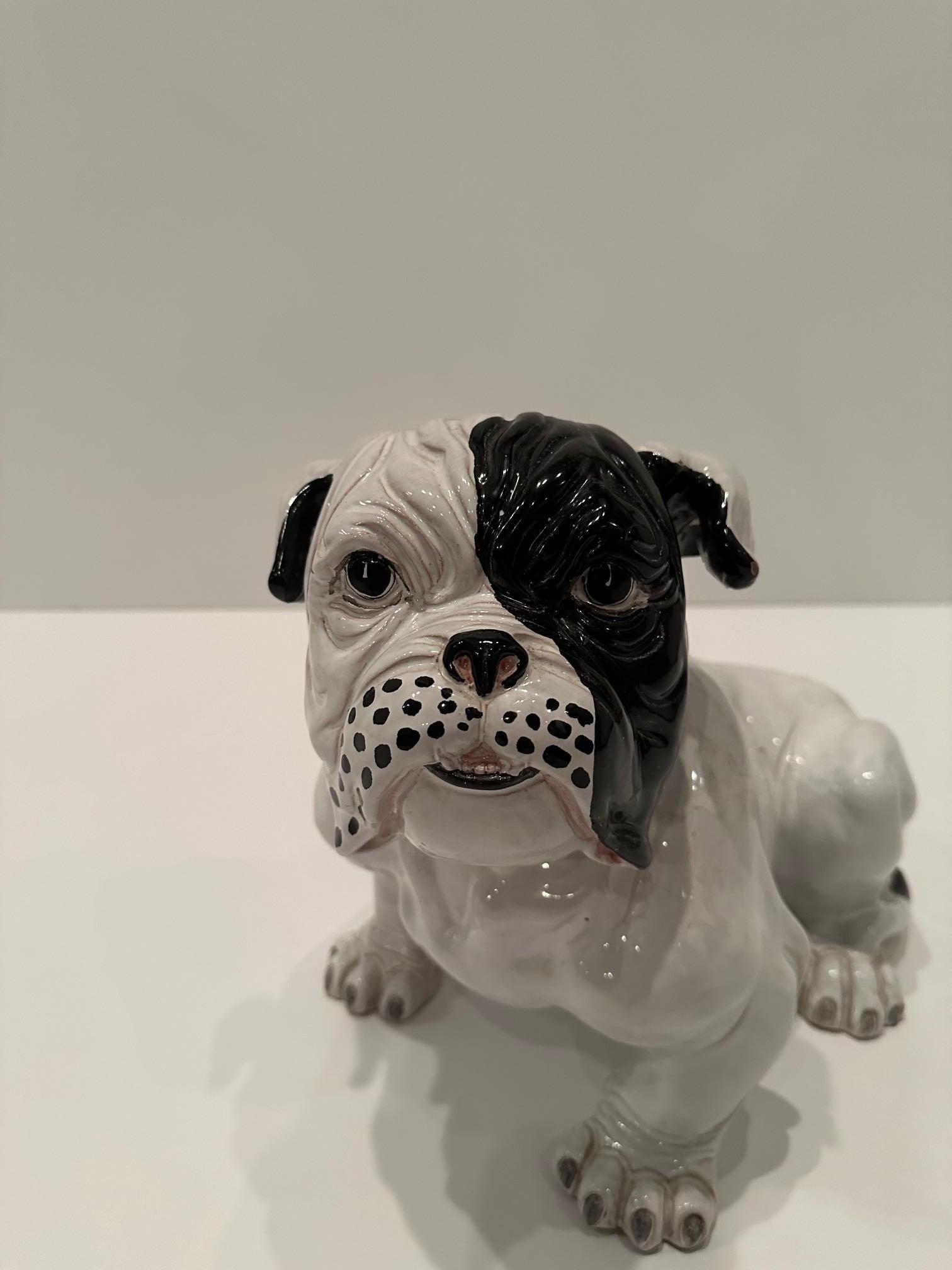 Fetching Terracotta Italian Black and White Bulldog Sculpture For Sale 1