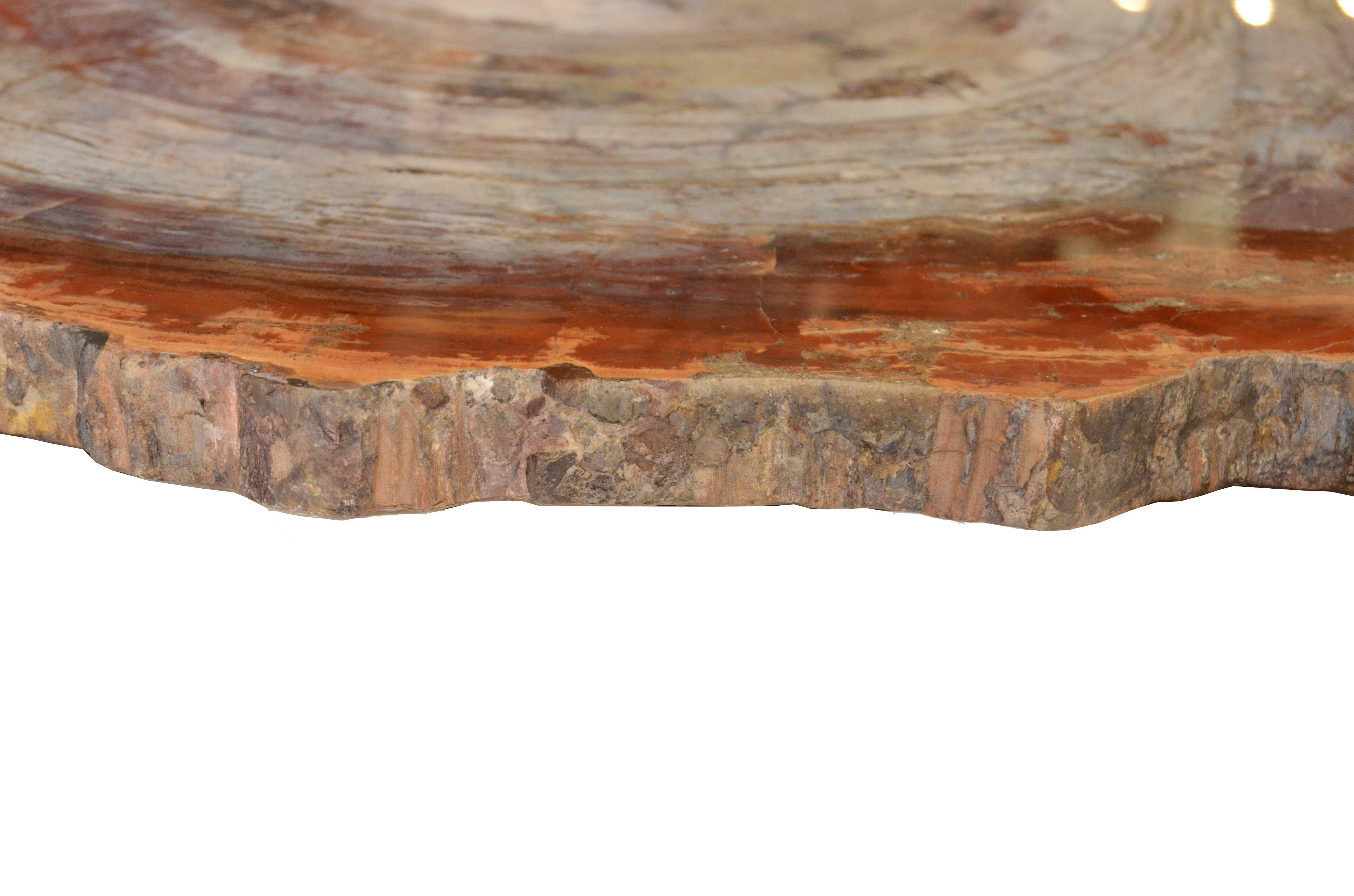 Tranche de bois de la forêt pétrifiée d'Arizona datant de la période triasique en vente 5