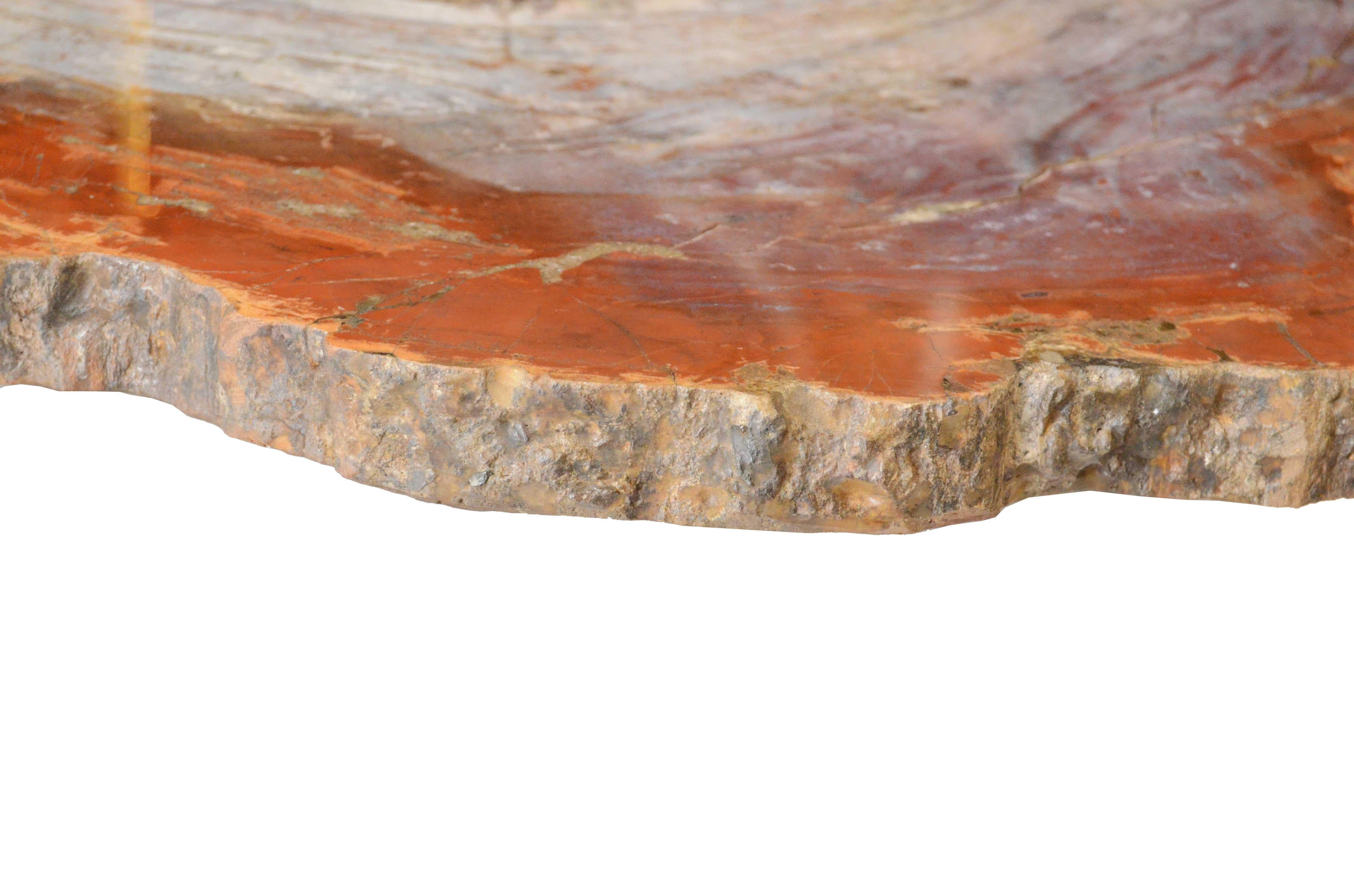 Tranche de bois de la forêt pétrifiée d'Arizona datant de la période triasique en vente 4
