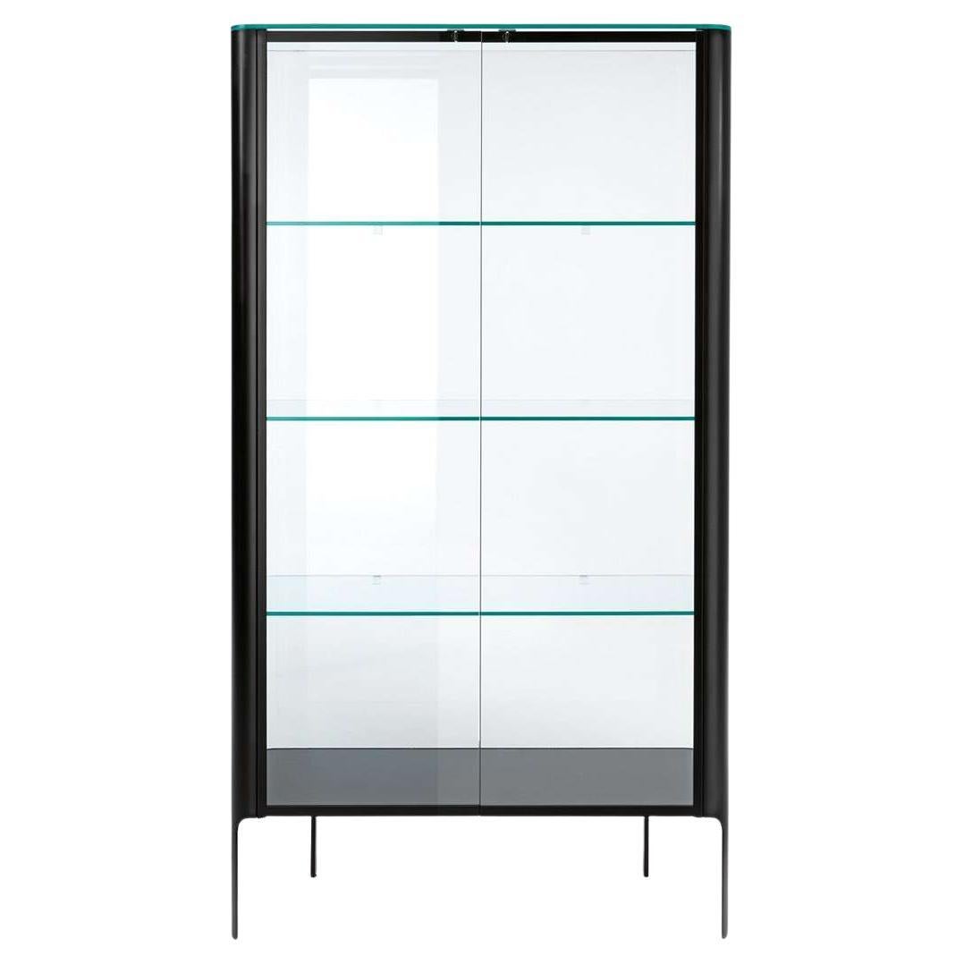 Fiam Aura-Glas-Schrank mit Drahtverkleidung von Patrick Jouin