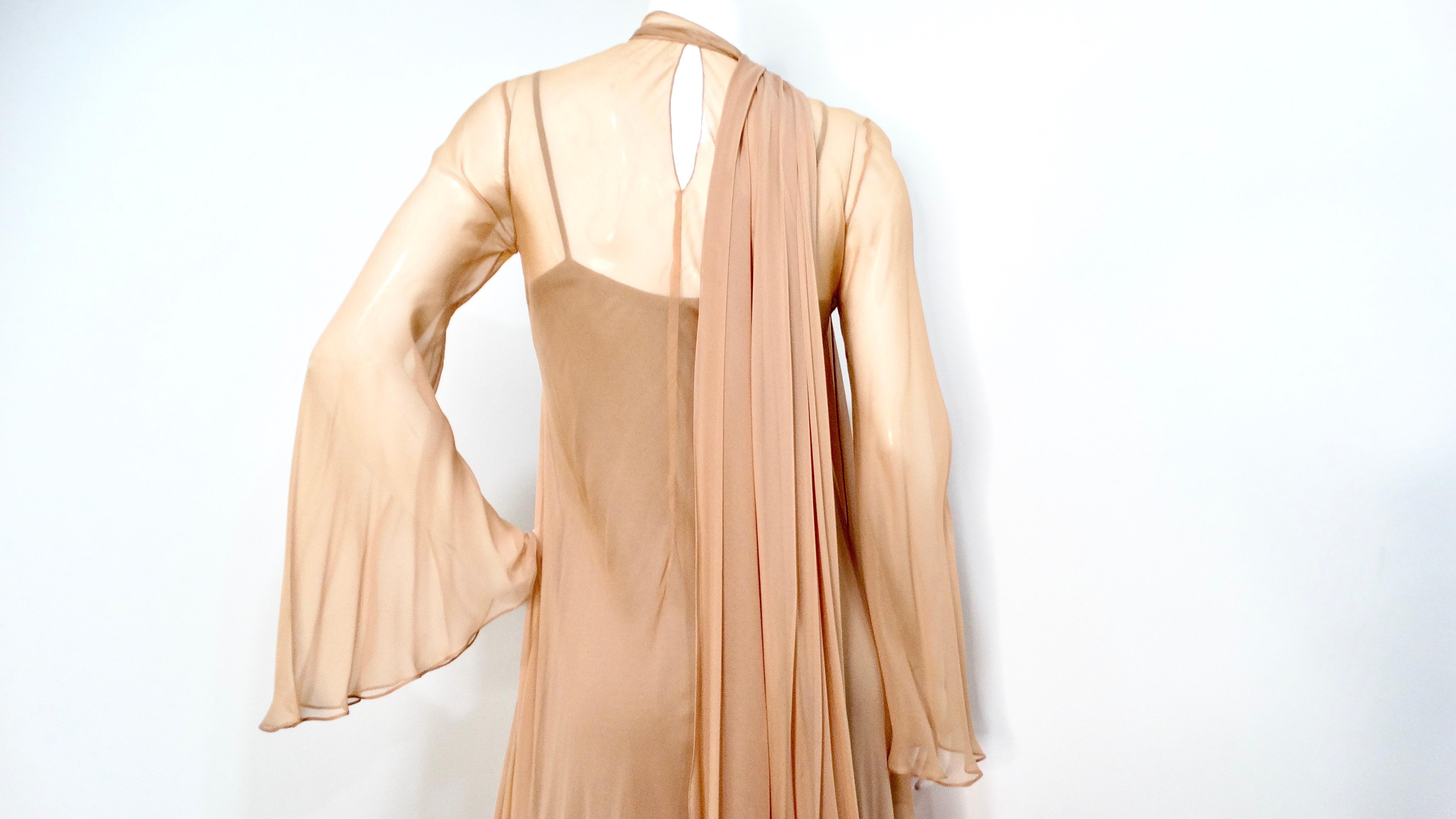 Fiandaca Couture Vintage 1960s Sheer Tan Angel Wing Dress With Slip For Sale 3