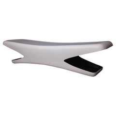 Fiberglass Bench by Douglas Deeds