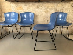 Fiberglass Chairs by Bertoia, for Knoll