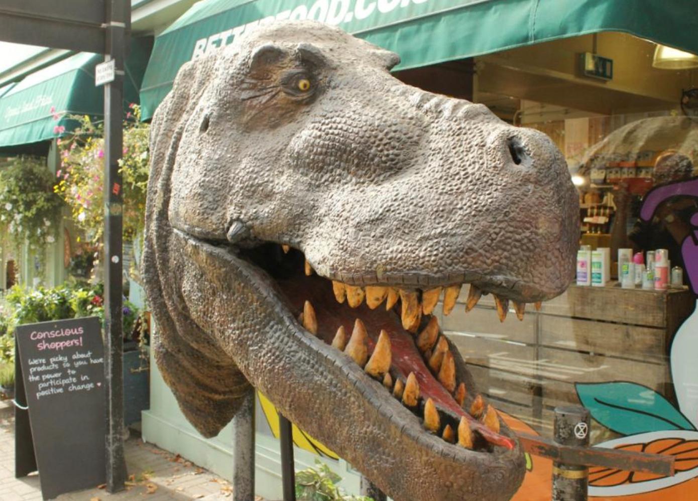 A stunning life-size fibreglass T-Rex dinosaur head.

Believed to have a connection to the first Jurassic Park film from 1993 - possibly used in promoting the movie at a film premiere or in a cinema lobby.

The detachable head is 5 feet in