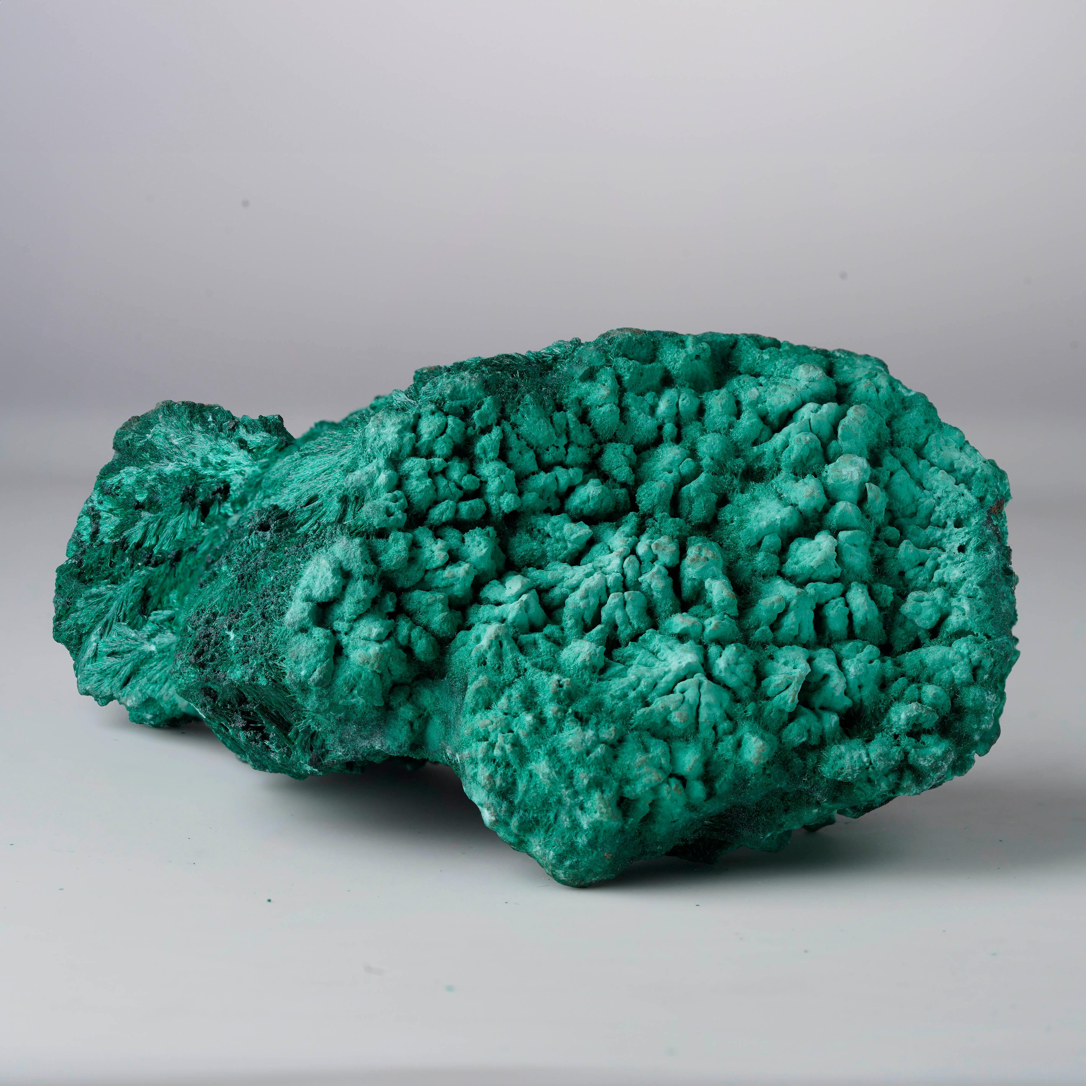 Questa sorprendente malachite fibrosa mostra un intenso colore verde smeraldo e una forma e una struttura dinamiche che la rendono visivamente affascinante da ogni angolazione. L'intricata crescita a bande o fibrosa conferisce al pezzo una notevole