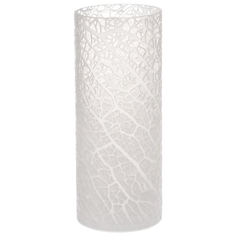 Vaso di vetro medio Ficus "B