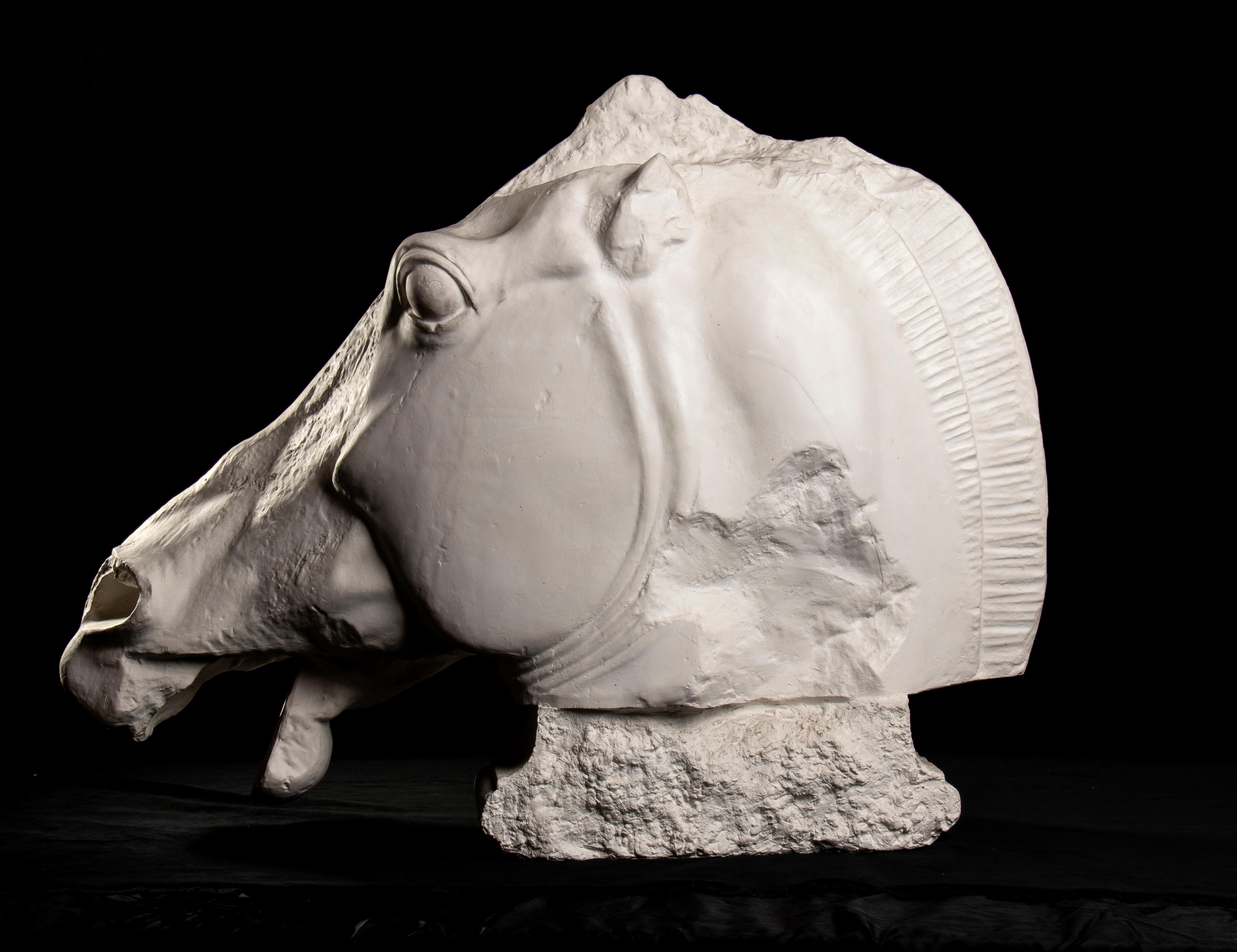 Akademische Gipspferdskulptur aus dem Parthenon-Marmor des Britischen Museums im Angebot 2