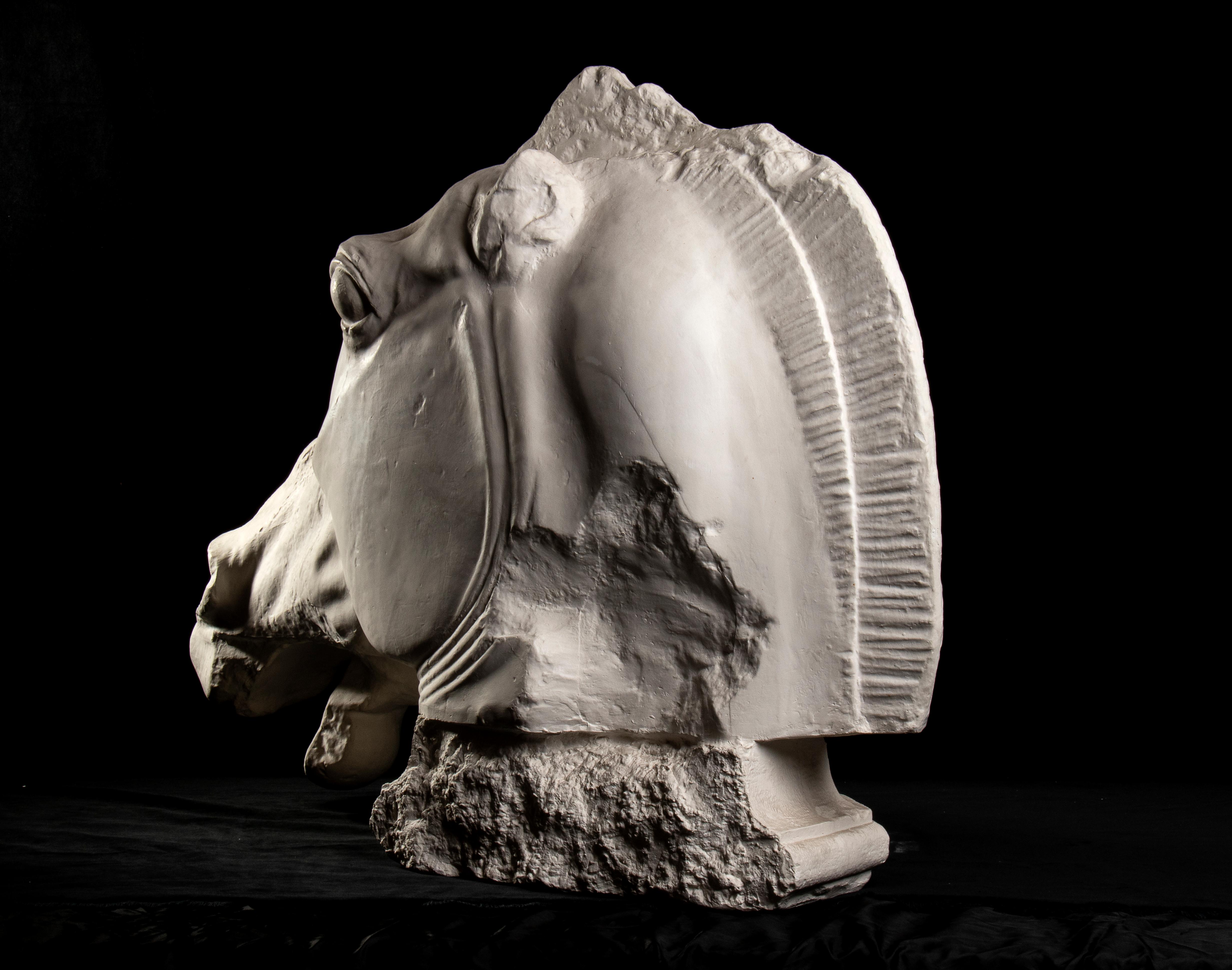 Academical Plaster Horse Sculpture From The Parthenon Marbles at British Museum For Sale 2