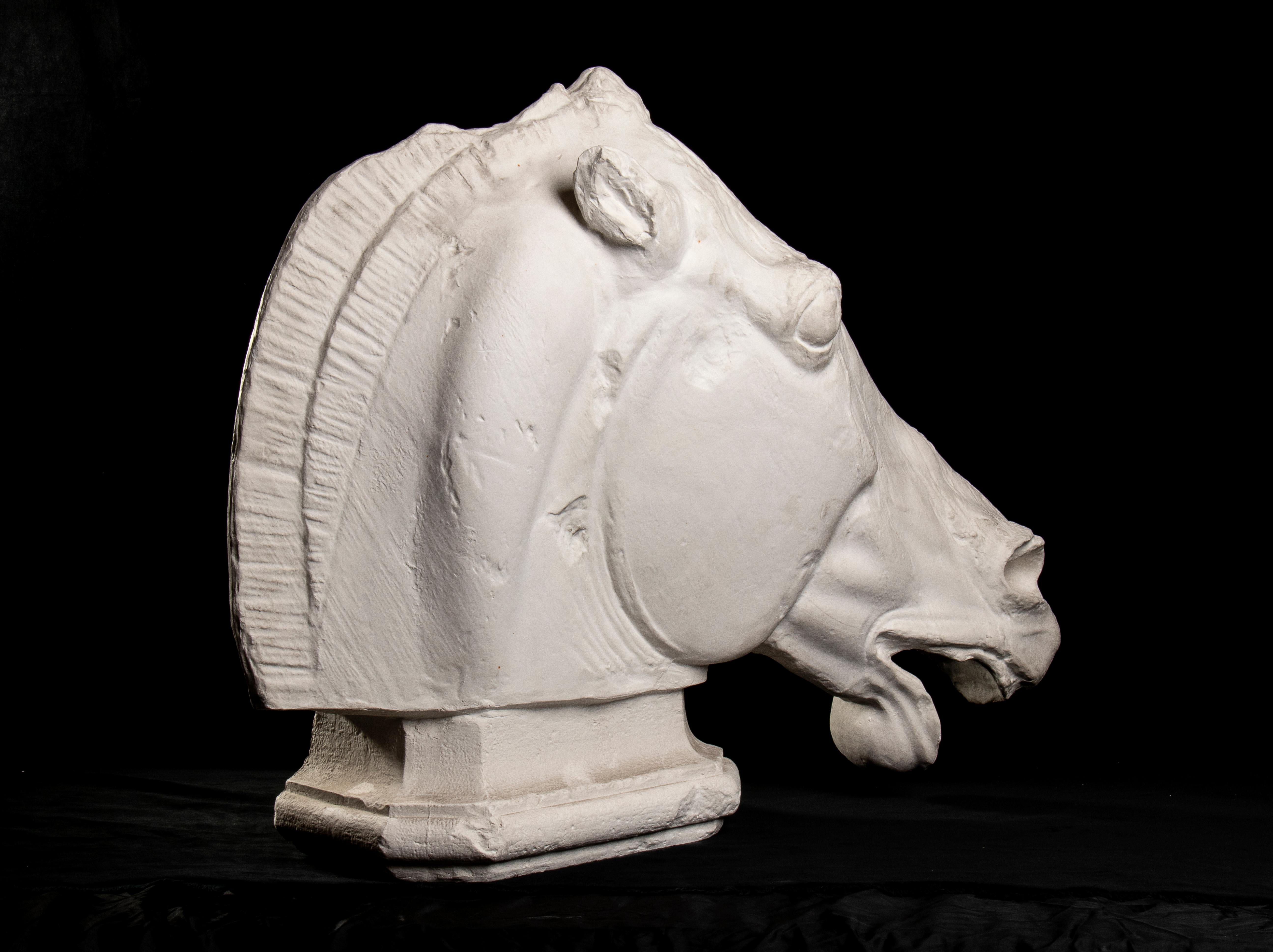 Academical Plaster Horse Sculpture From The Parthenon Marbles at British Museum For Sale 4