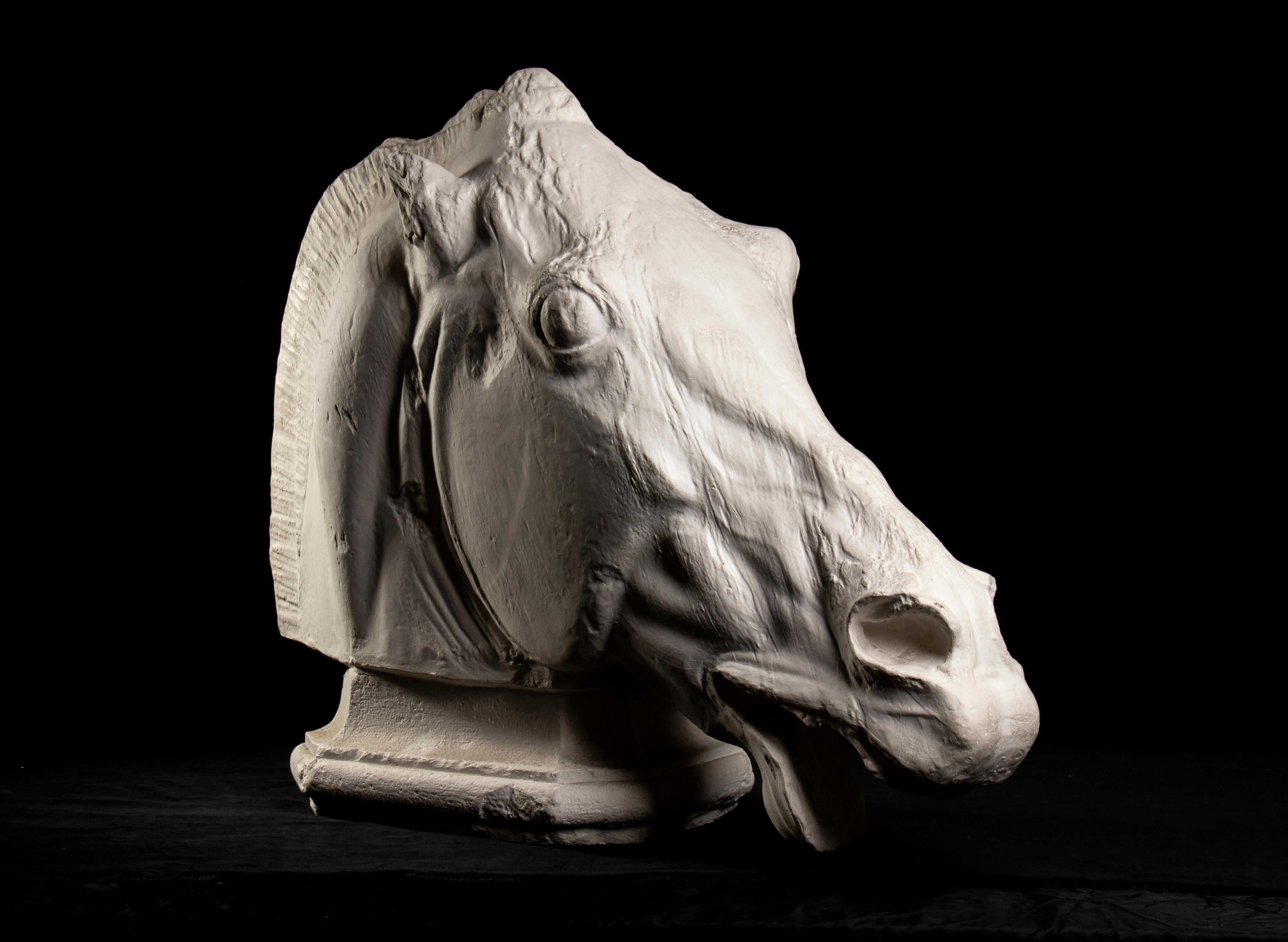 Fidia Still-Life Sculpture - Academical Plaster Horse Sculpture From The Parthenon Marbles at British Museum