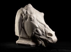 Vintage Academical Plaster Horse Sculpture From The Parthenon Marbles at British Museum