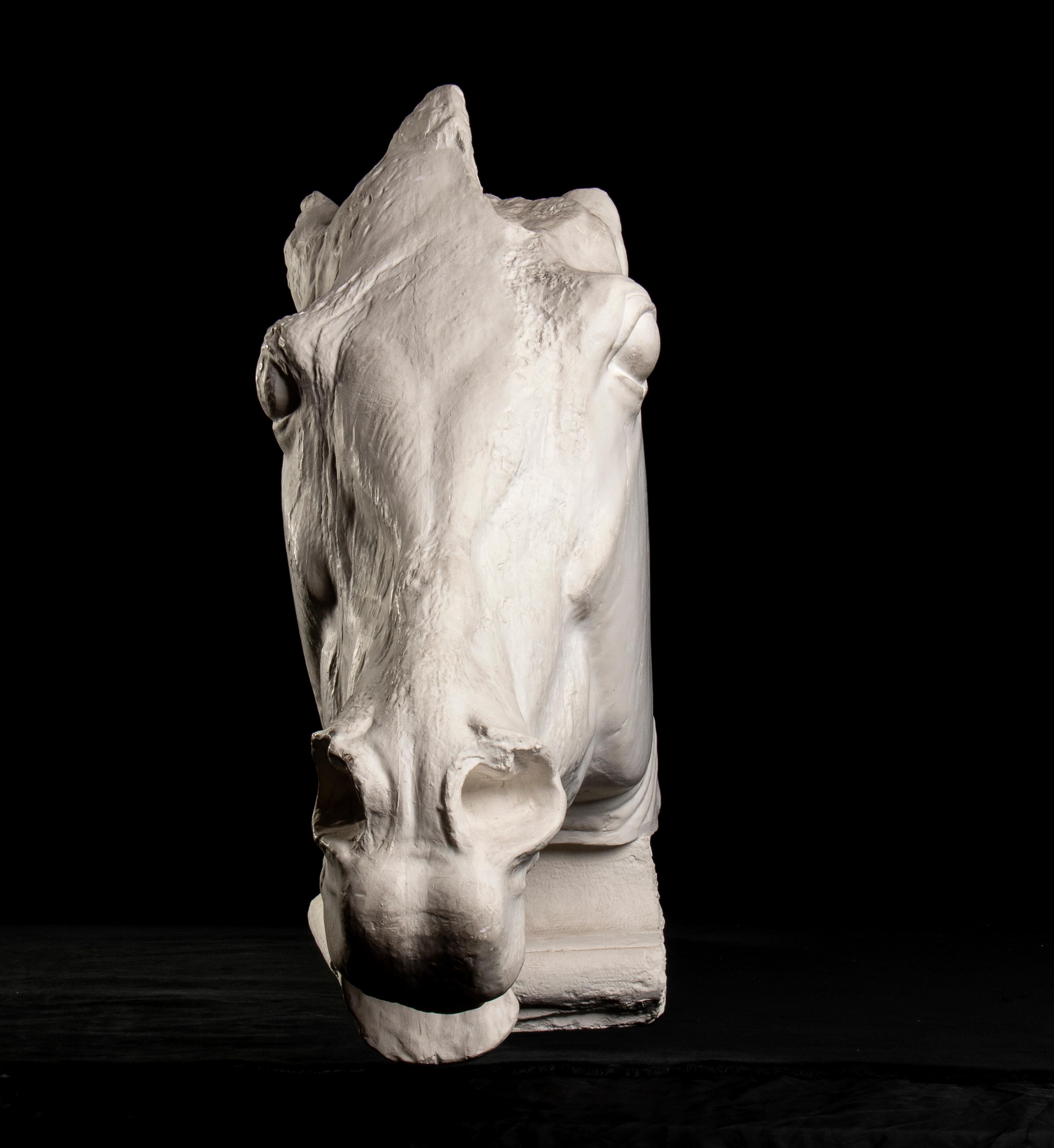 Sculpture de cheval Fidia du British Museum Parthenon Academical Plaster Vintage 20th en vente 3
