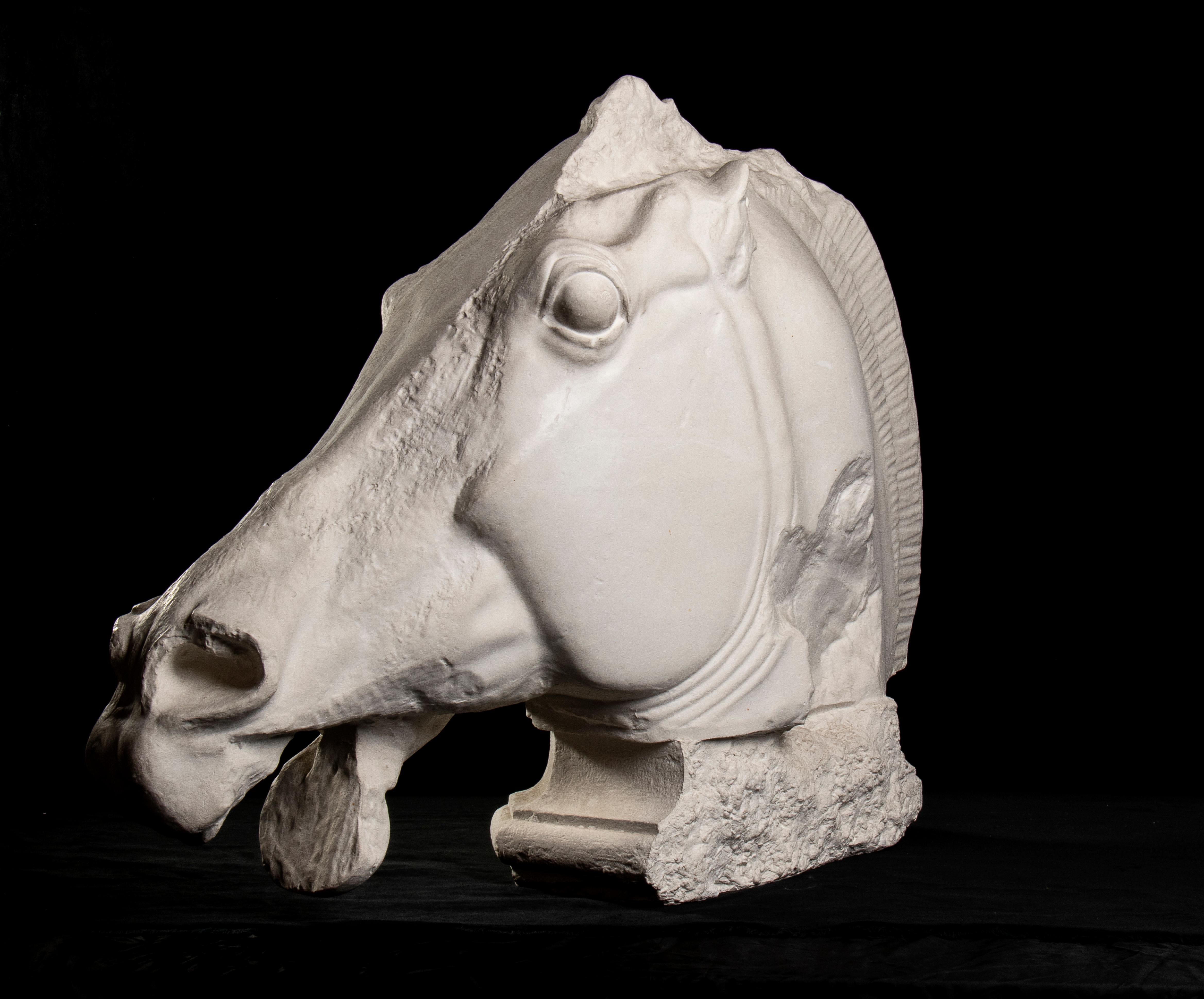 Sculpture de cheval Fidia du British Museum Parthenon Academical Plaster Vintage 20th en vente 4