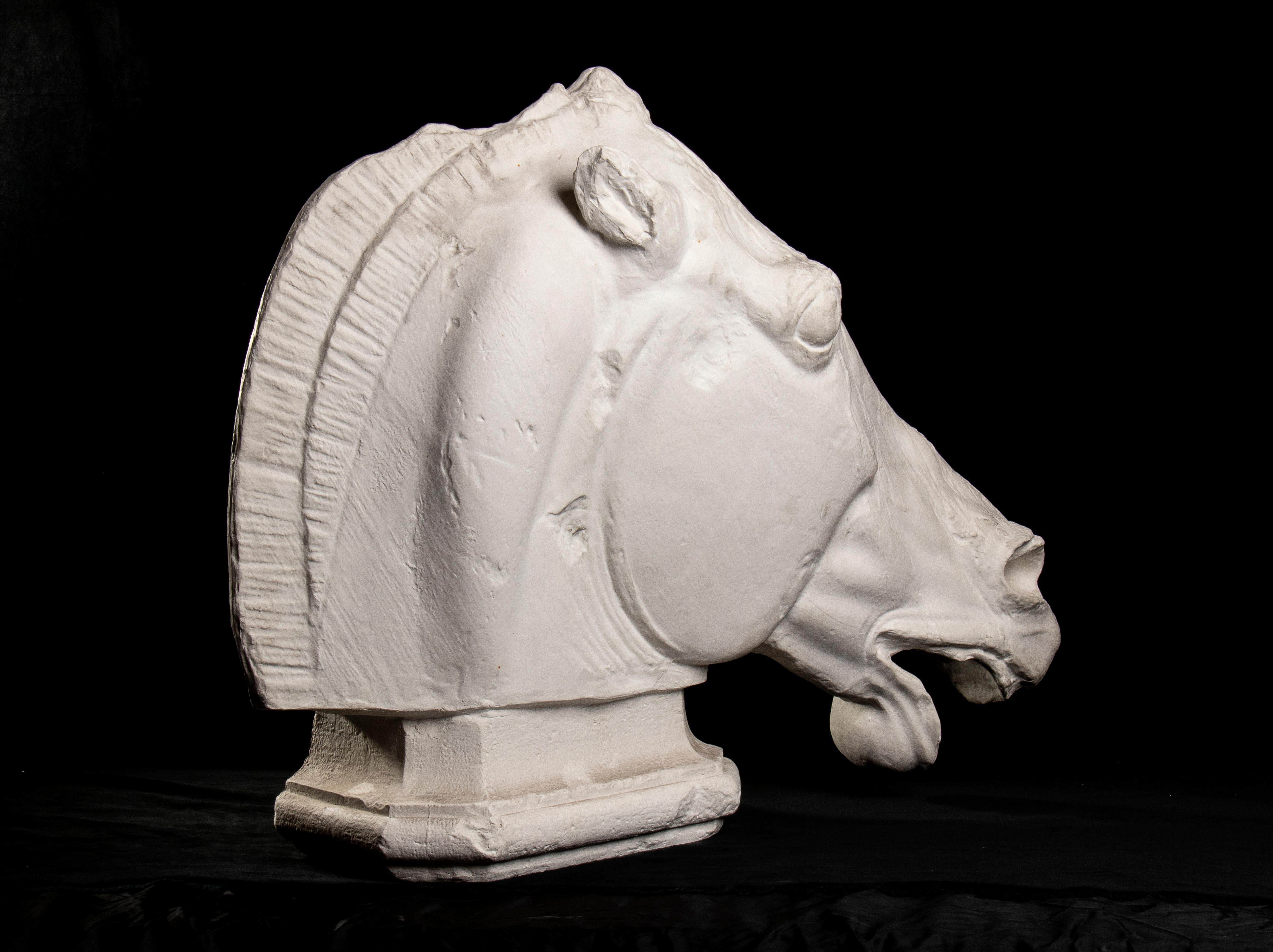 Sculpture de cheval Fidia du British Museum Parthenon Academical Plaster Vintage 20th en vente 8