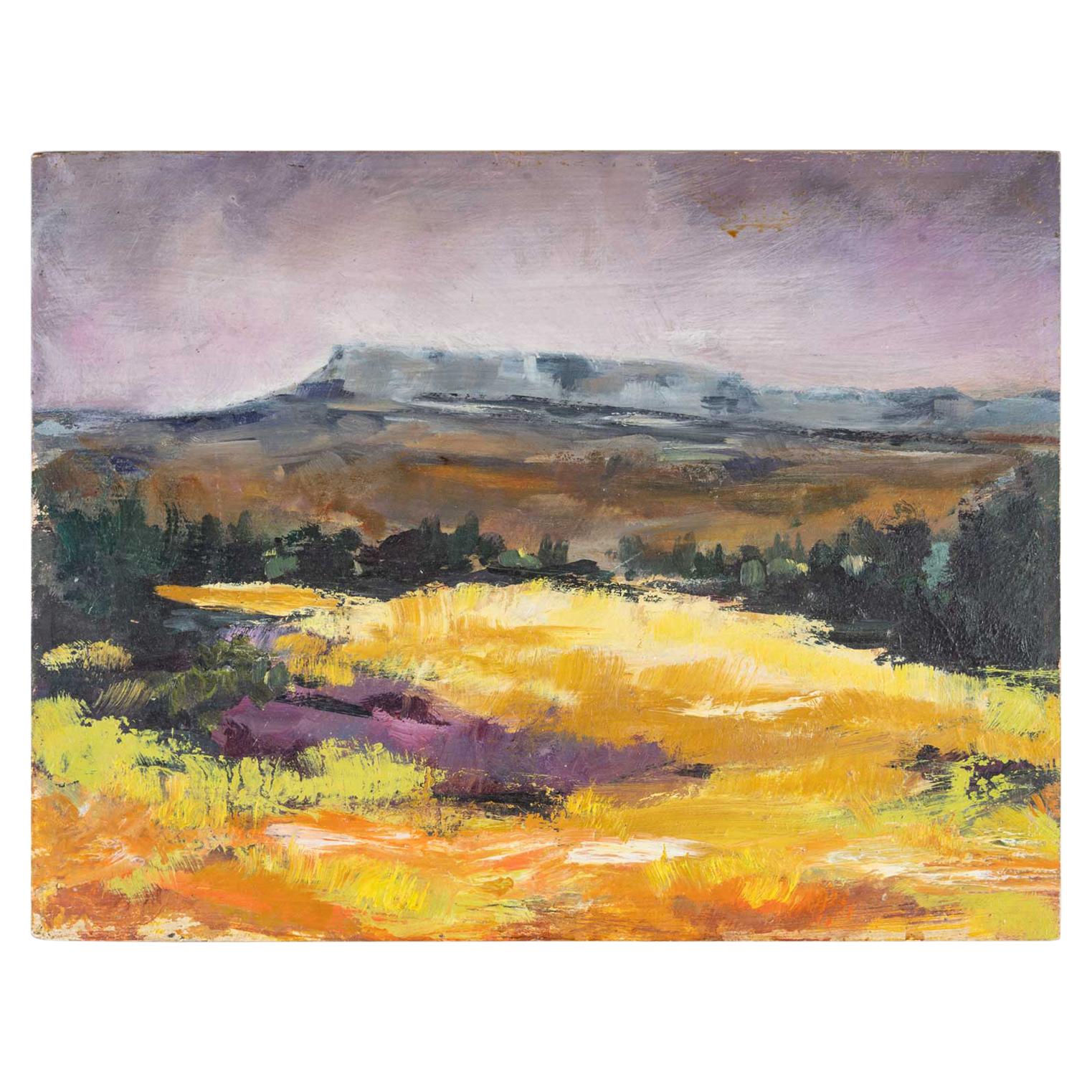 Field and Mountain, XX Century For Sale