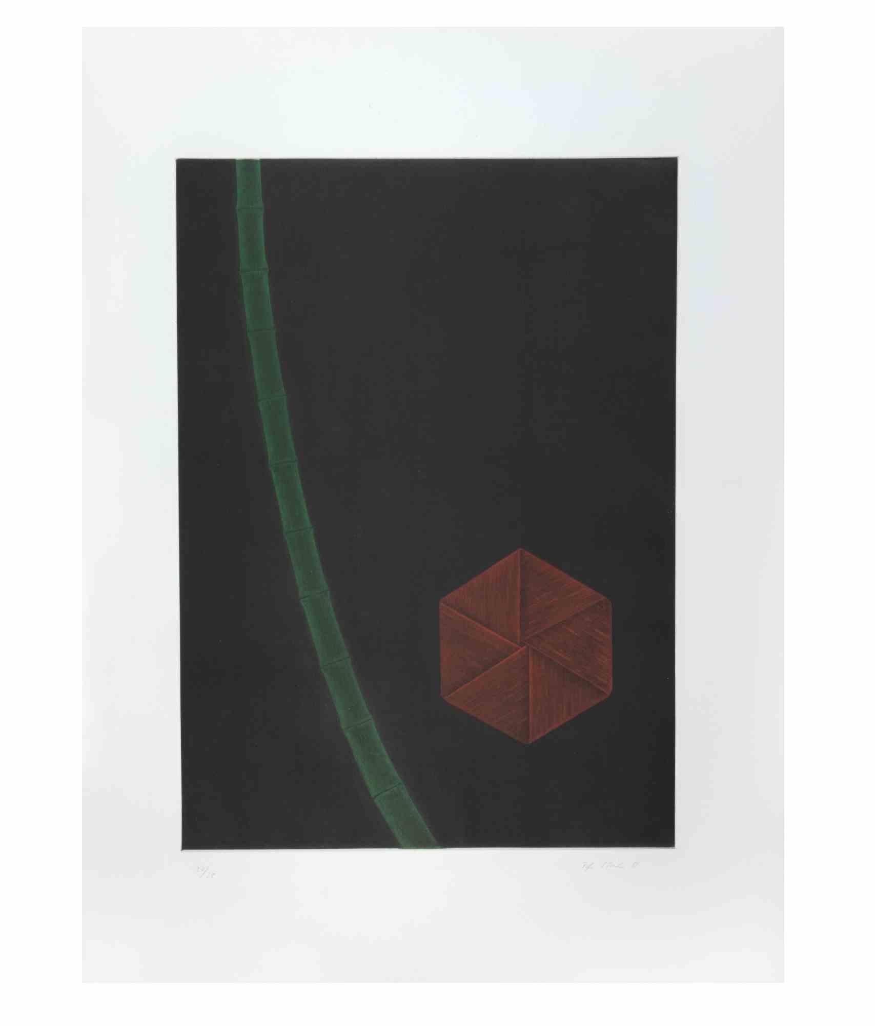 Bambus is a contemporary artwork realized by the artist Fifo Stricker in 1981.

Mixed colored aquatint and etching. 

Hand signed and dated by the artist on the lower right margin.

Numbered on the lower left margin. Edition of 20/25.

Fifo Stricker