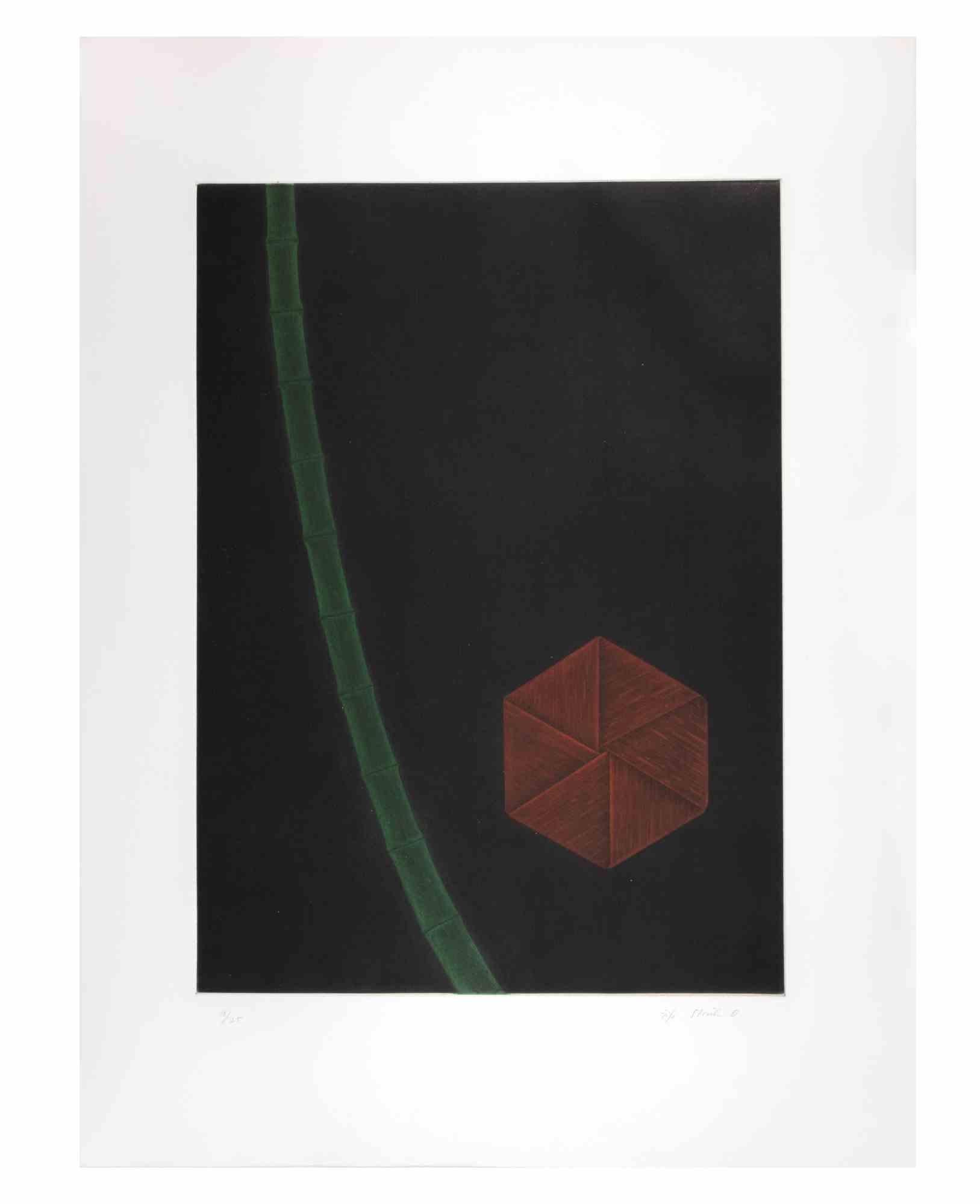 Bambus ist ein zeitgenössisches Kunstwerk des Künstlers Fifo Stricker aus dem Jahr 1981.

Gemischte farbige Aquatinta und Radierung. 

Vom Künstler am rechten unteren Rand handsigniert und datiert.

Am linken unteren Rand nummeriert. Auflage von
