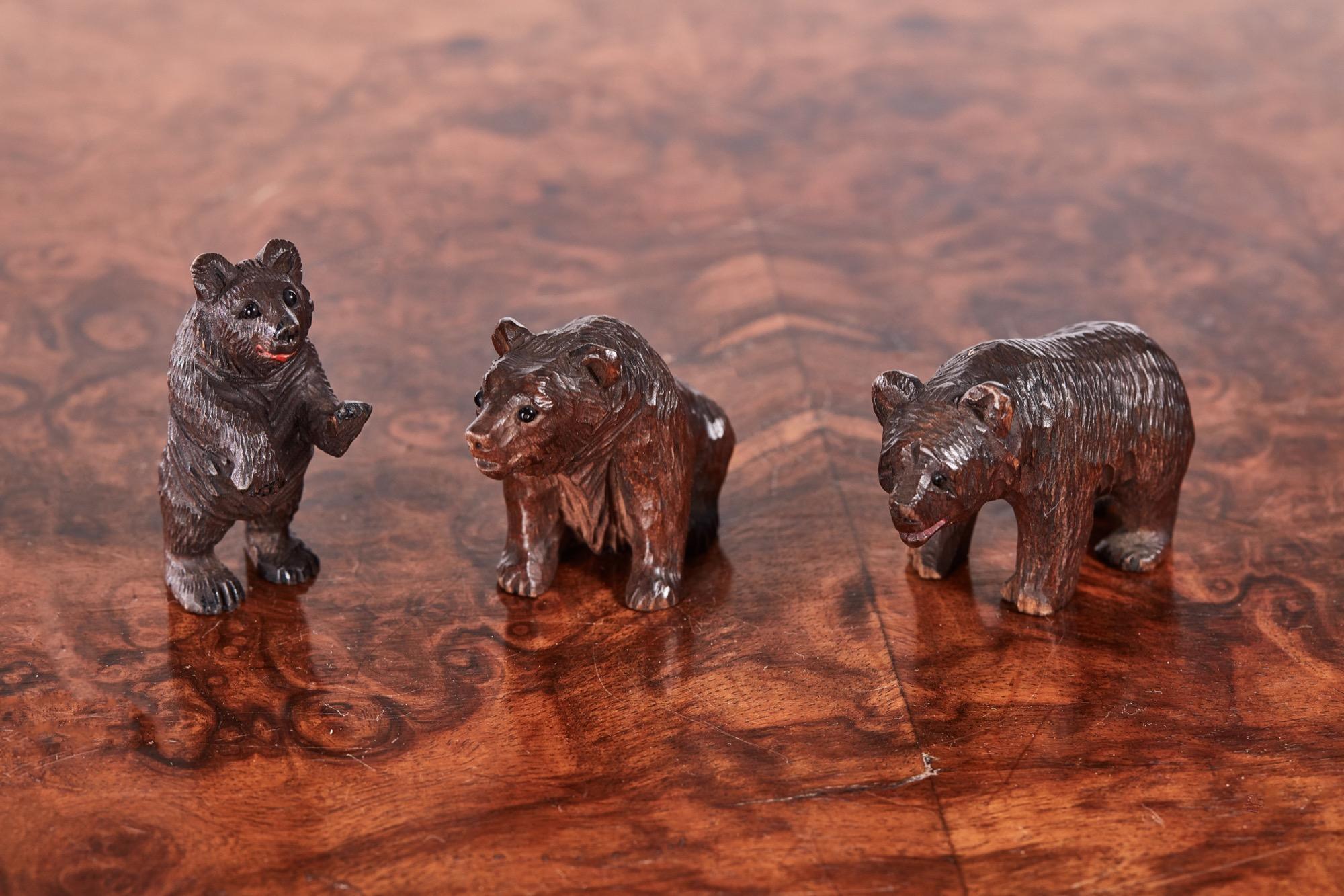 Quinze ours de la forêt noire sculptés en miniature au XIXe siècle. Certains debout, d'autres assis, certains avec des yeux de verre originaux. En très bon état d'origine.
 
Une collection charmante avec des sculptures de qualité
