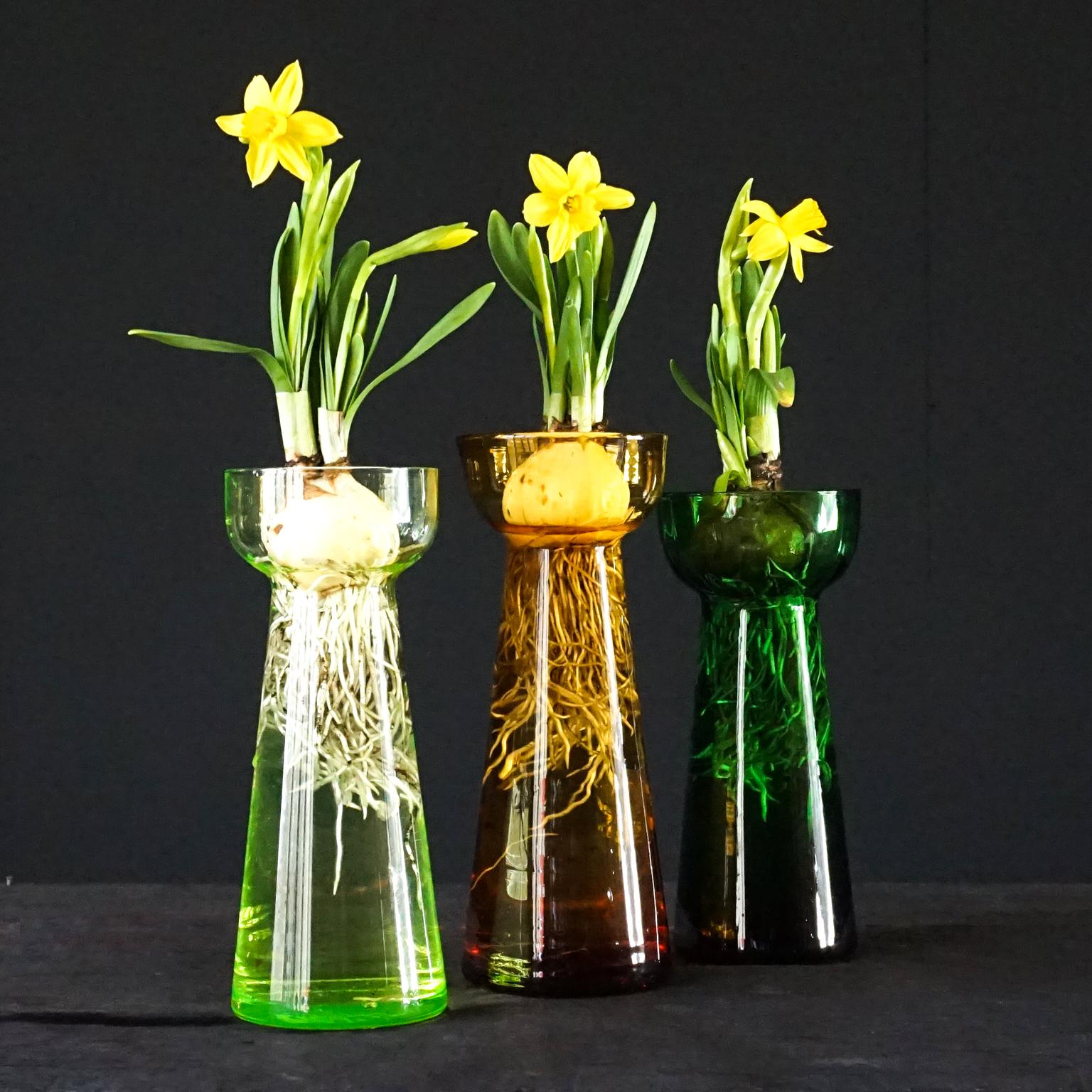 Fifteen Dutch 1960 Leerdam for Rimac Glass Flower Bulb Hyacinth and Crocus Vases 2
