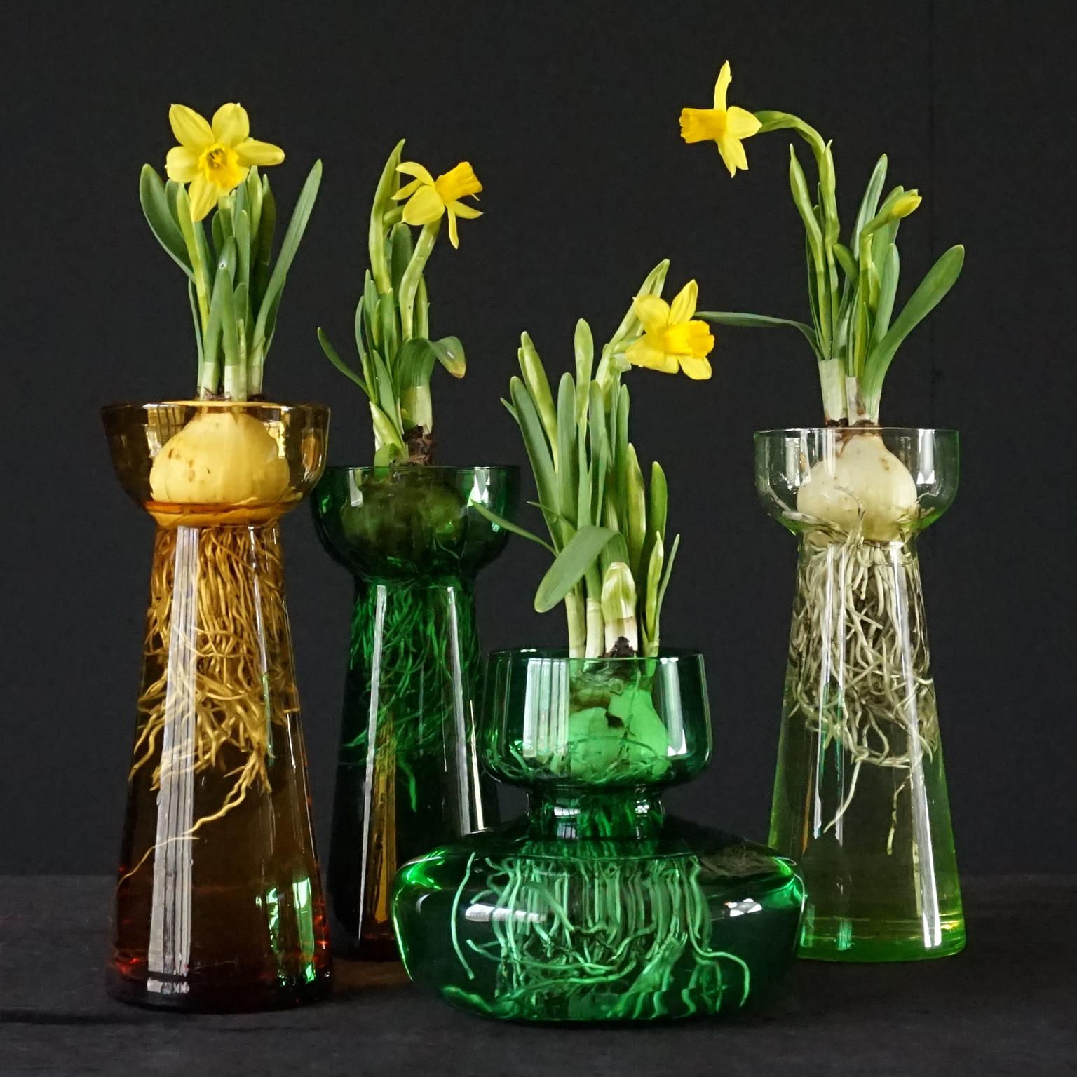 Fifteen Dutch 1960 Leerdam for Rimac Glass Flower Bulb Hyacinth and Crocus  Vases at 1stDibs