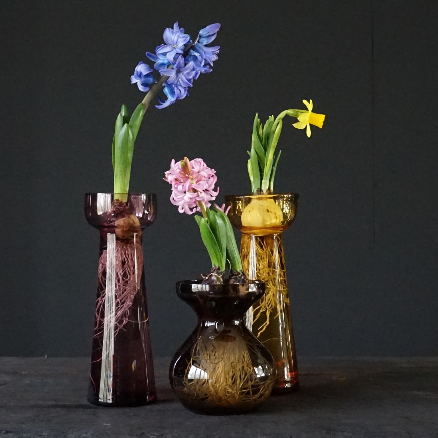 Fifteen Dutch 1960 Leerdam for Rimac Glass Flower Bulb Hyacinth and Crocus Vases 4