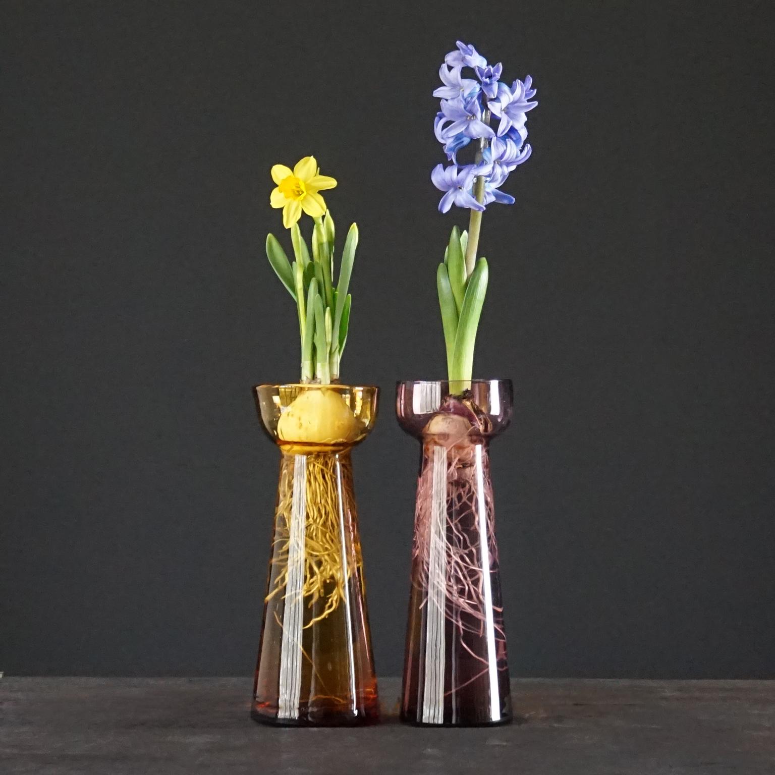Fifteen Dutch 1960 Leerdam for Rimac Glass Flower Bulb Hyacinth and Crocus Vases 6