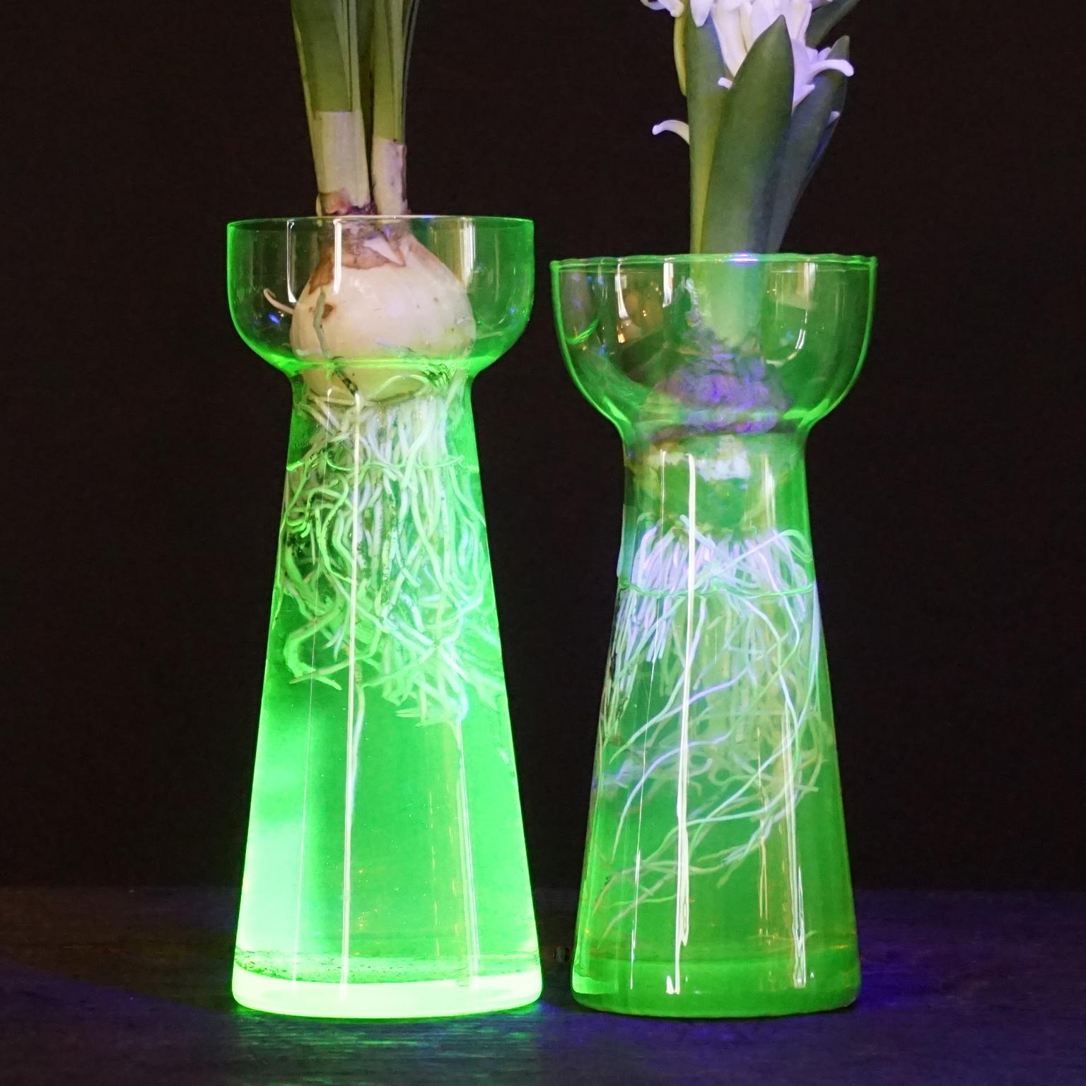 Fifteen Dutch 1960 Leerdam for Rimac Glass Flower Bulb Hyacinth and Crocus Vases 8