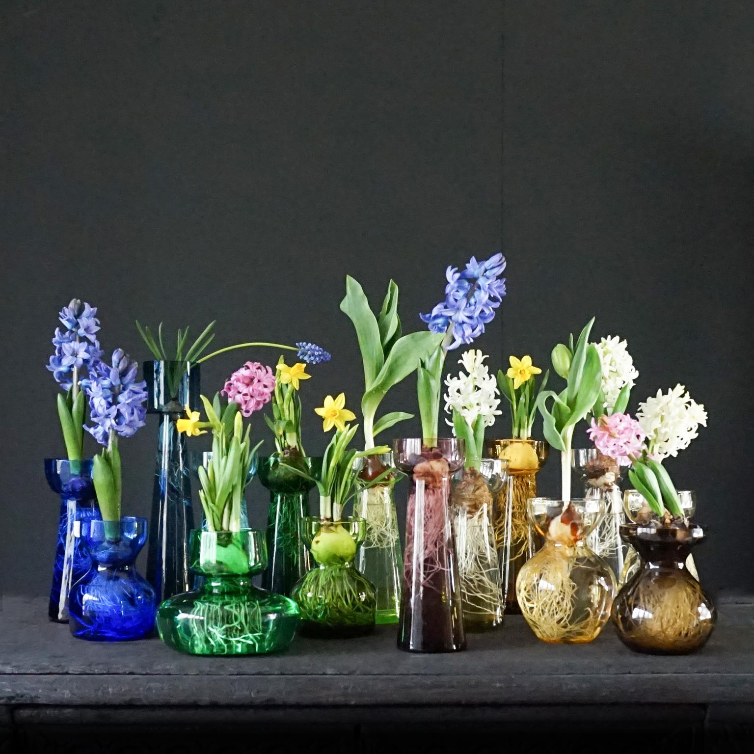 European Fifteen Dutch 1960 Leerdam for Rimac Glass Flower Bulb Hyacinth and Crocus Vases