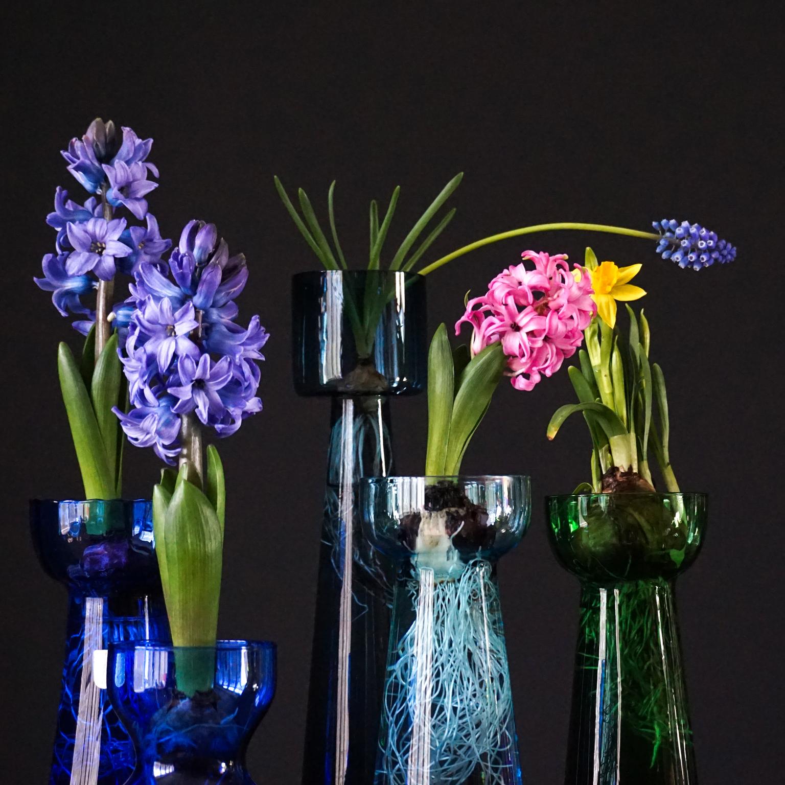 Mid-20th Century Fifteen Dutch 1960 Leerdam for Rimac Glass Flower Bulb Hyacinth and Crocus Vases