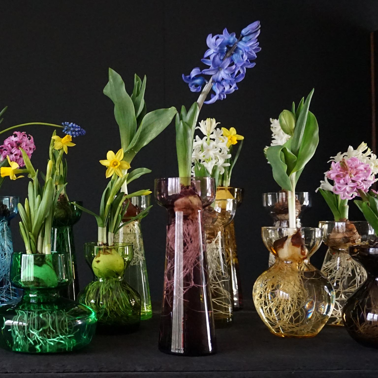 Fifteen Dutch 1960 Leerdam for Rimac Glass Flower Bulb Hyacinth and Crocus Vases 1
