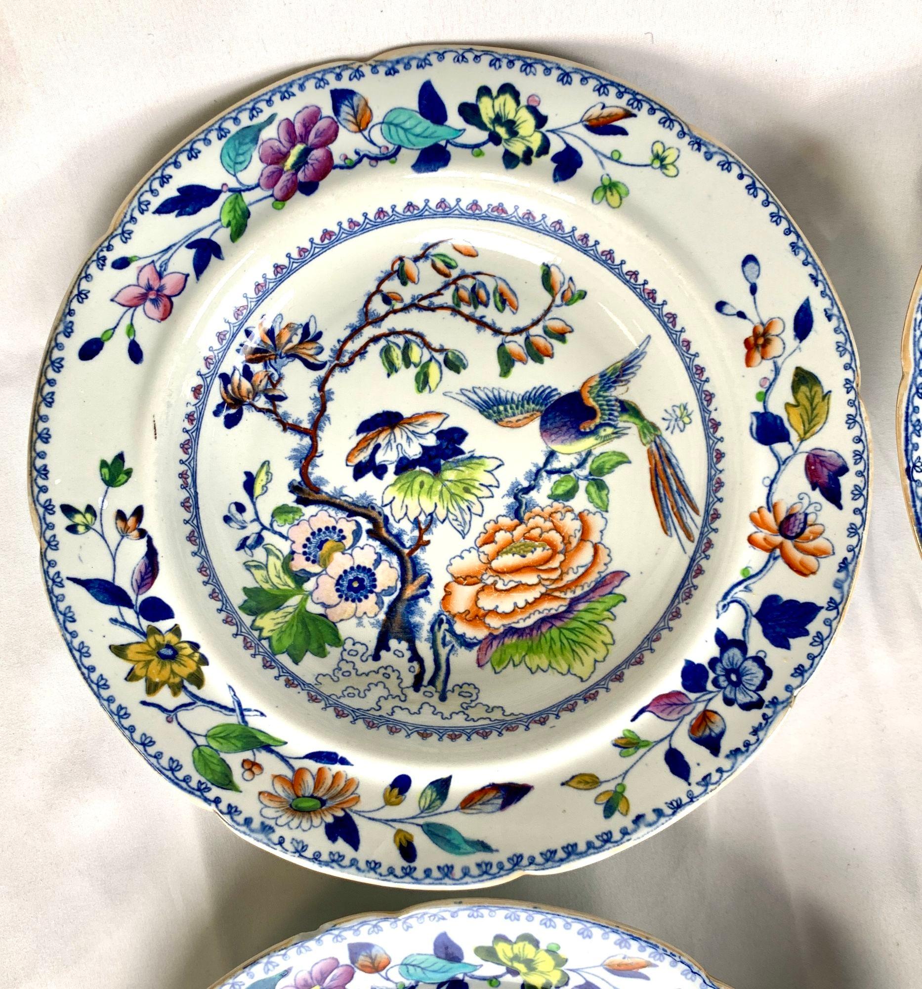 Milieu du XIXe siècle Quinze plats à soupe ou à pâtes oiseaux volants fabriqués par Davenport, Angleterre, vers en vente