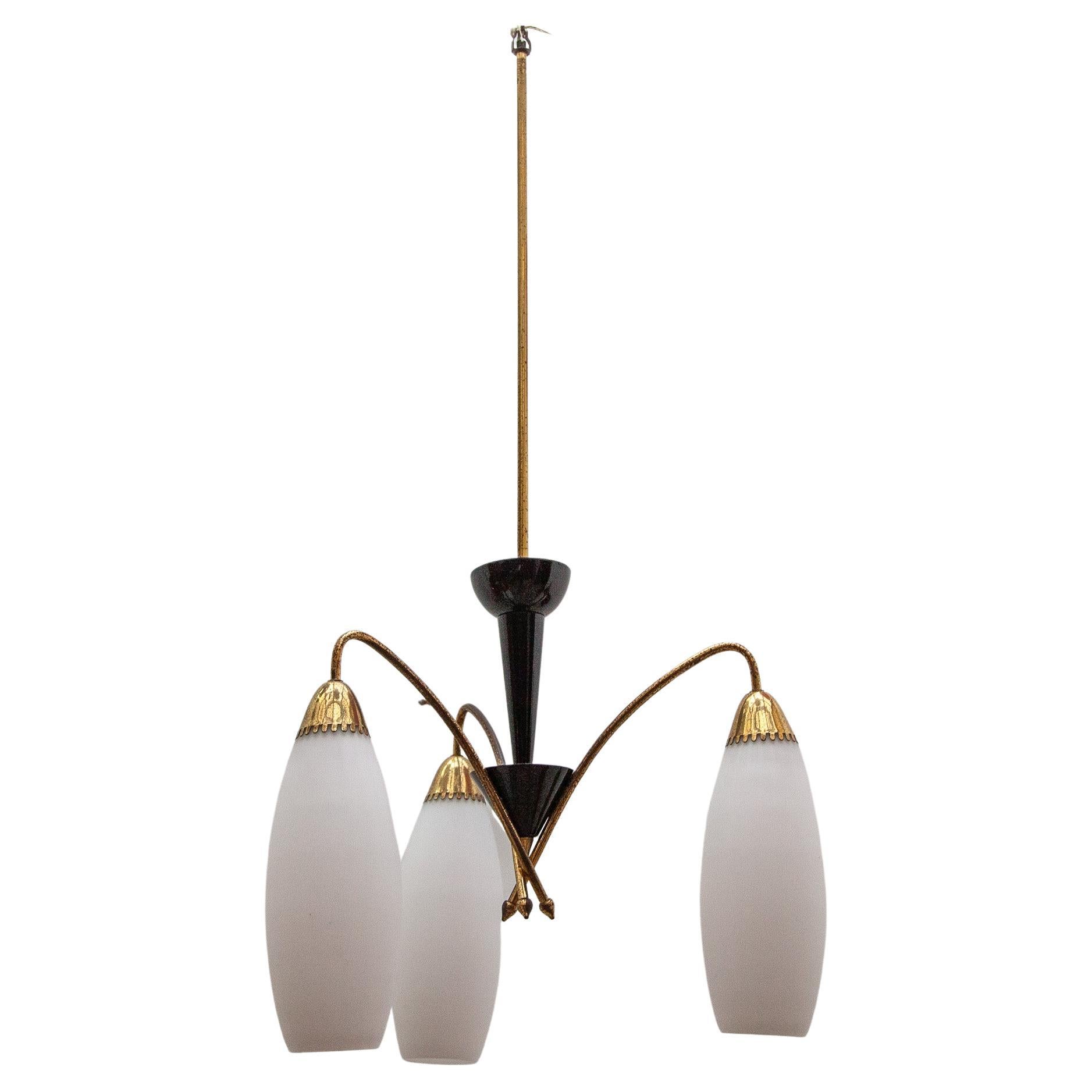 This chic 1950's Italian chandelier comprises three arms with opaque glass shades held in place by brass lamp holders on either end. This is mounted on a brass column with black tulip and ceiling rose.
