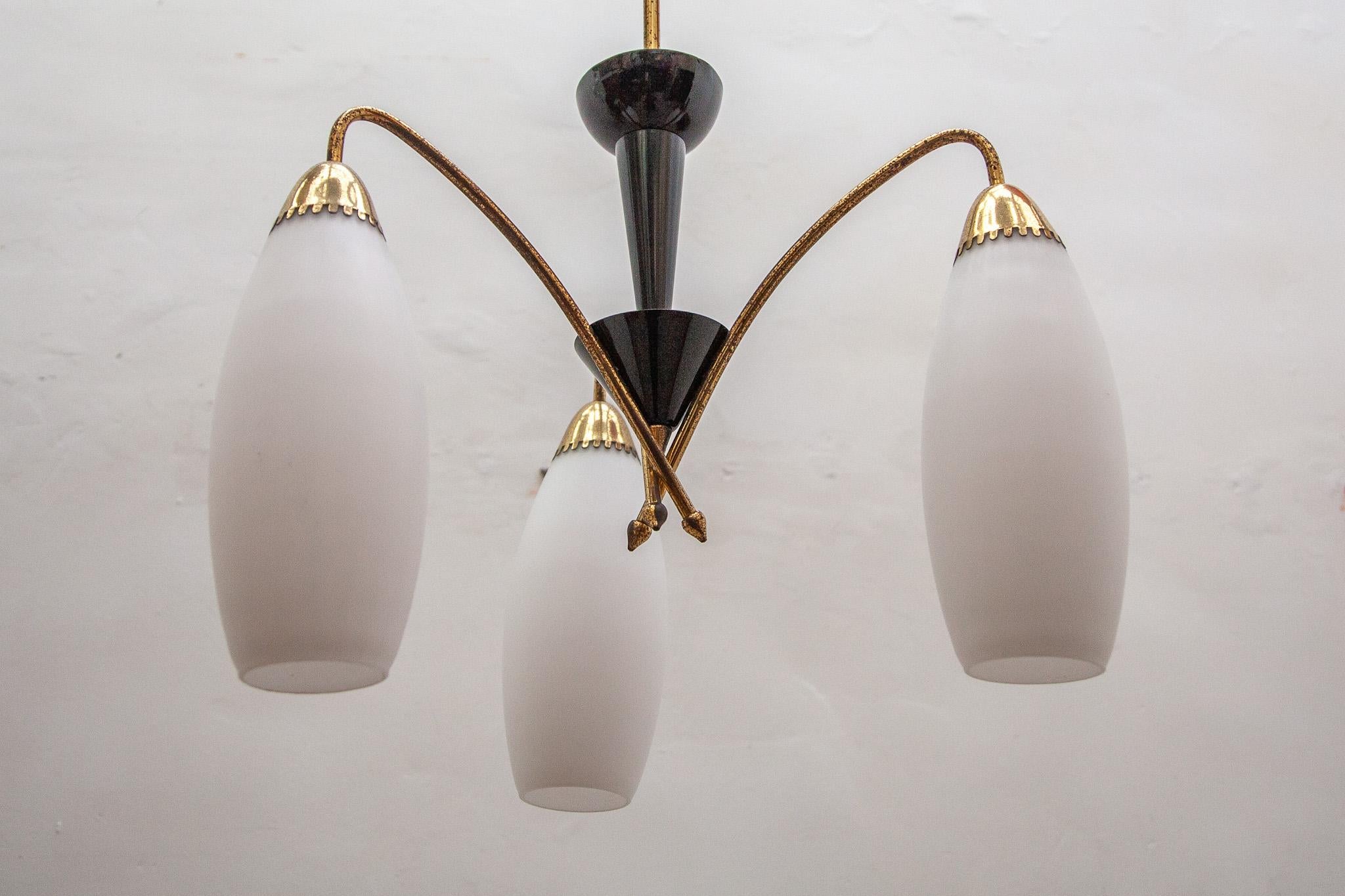 Mid-20th Century Fifties Design Three Opal Shade Chandelier For Sale