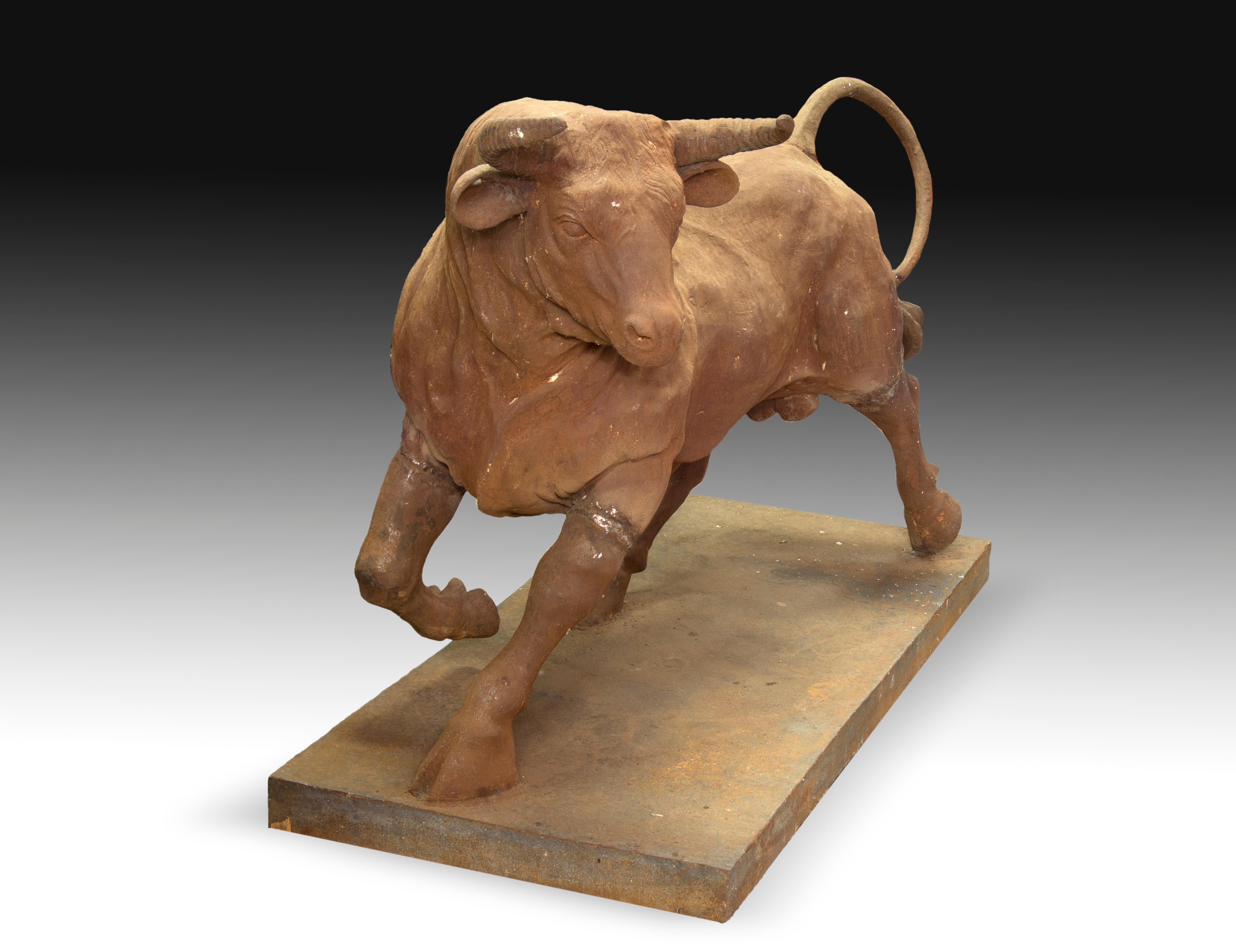 Iron sculpture located on a rectangular base that shows a fighting bull walking. They emphasize the naturalness in the posture, anatomy and details of the animal.
Size: 60 x 130 x 90 cms.
