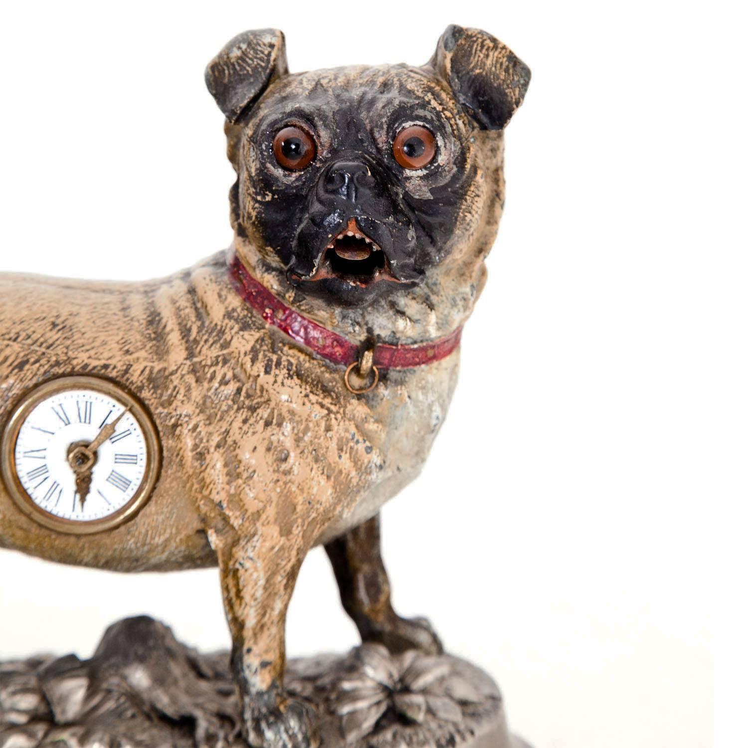 Metal cast clock of a pug dog with original, slightly worn paint, glass eyes and an enamel clock face with Roman numerals. The pug shakes its tongue and tail with the ticking of the clock.